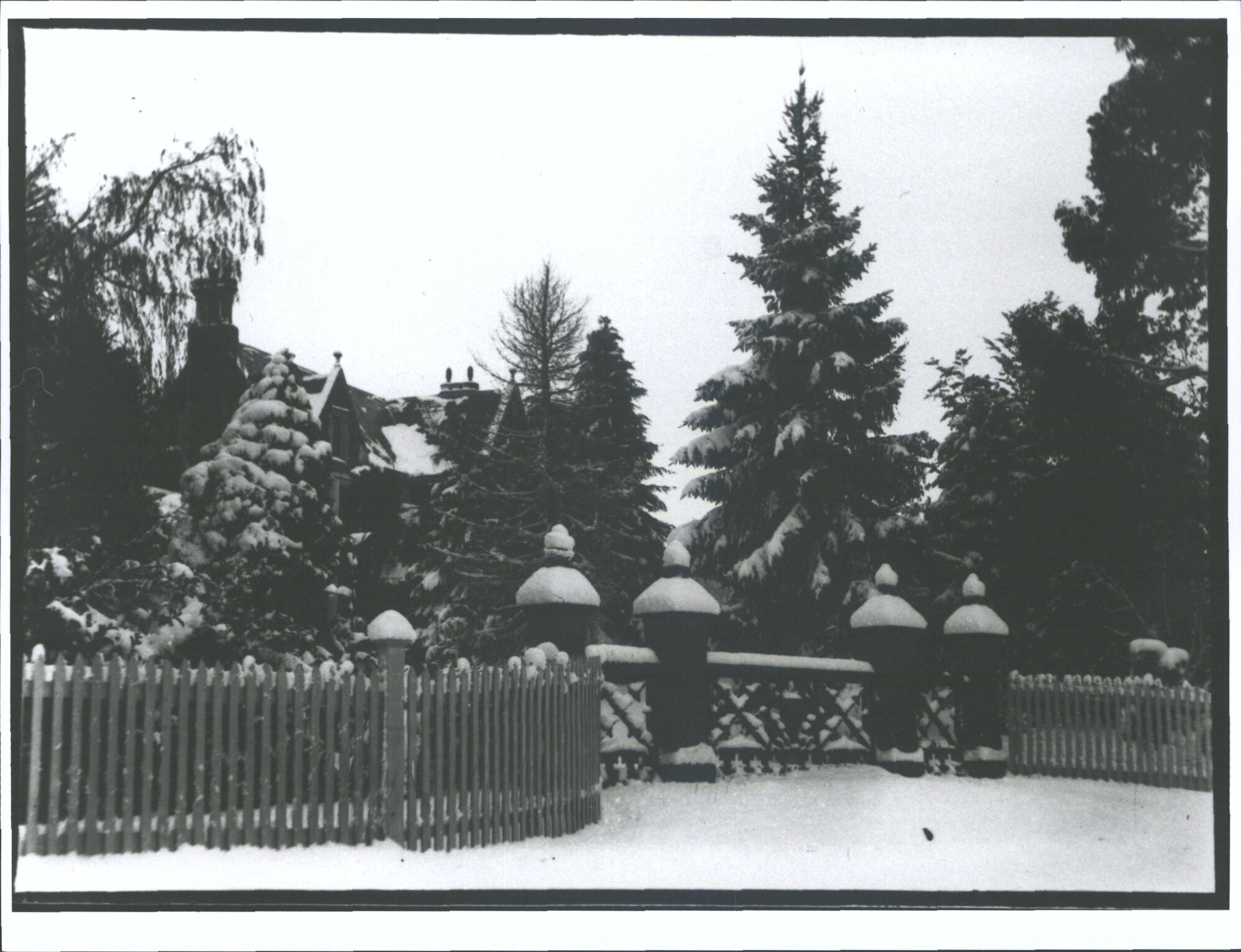 [Rare Snowfall at The Domain, Univeristy of Tasmania Teachers' College]