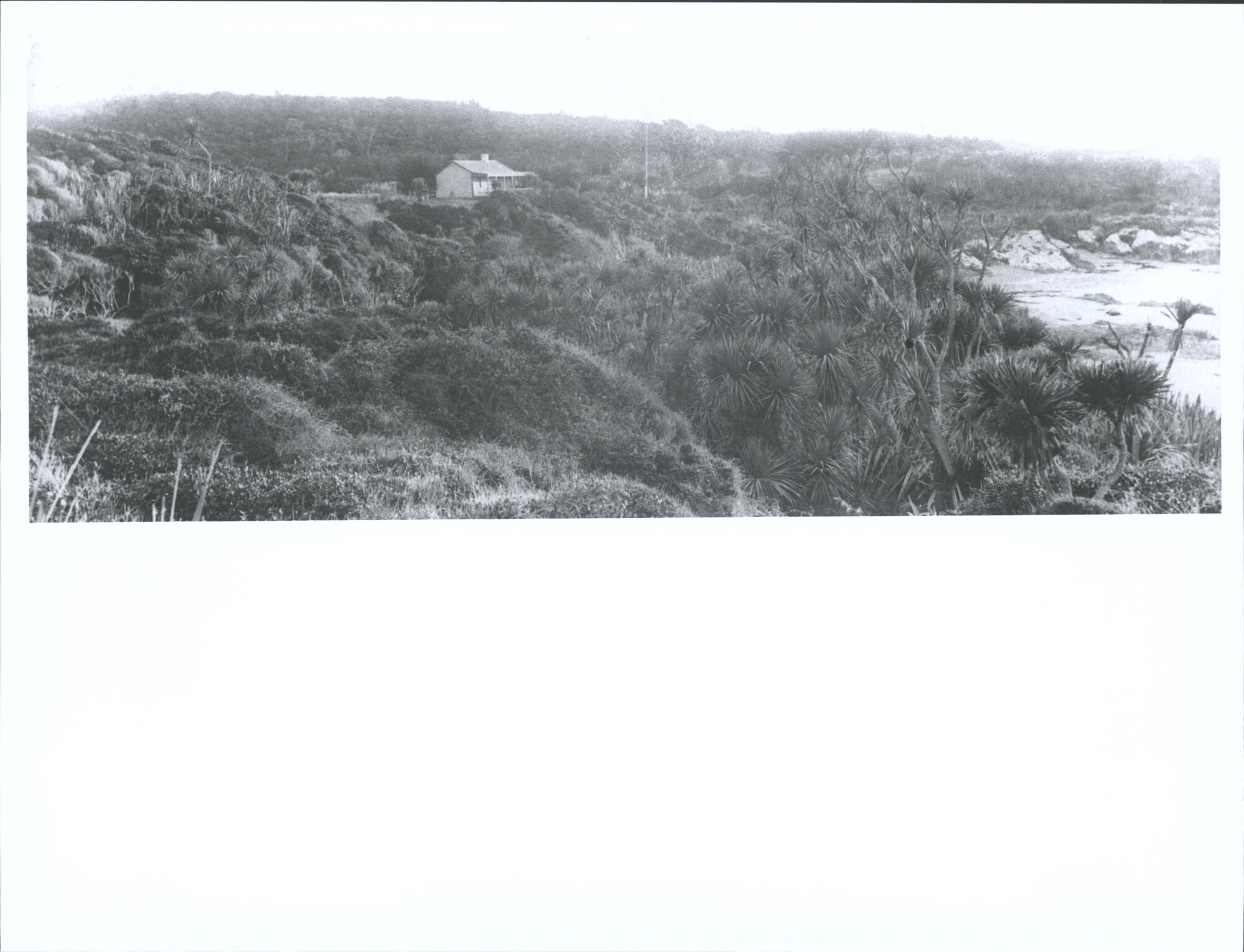 Showing Rev. James Chisholm's Cottage Chisholm's Cove