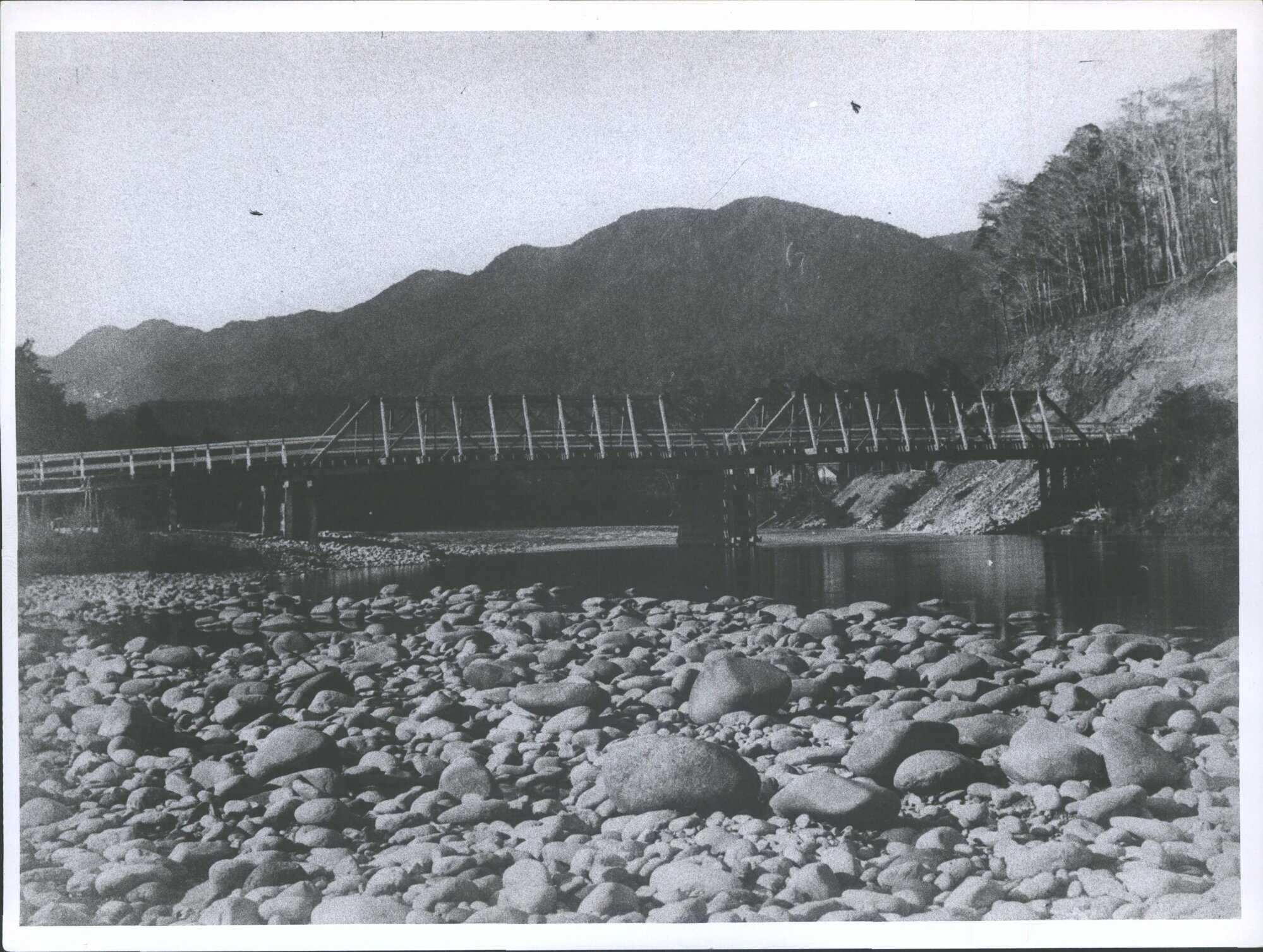 Matiki Bridge