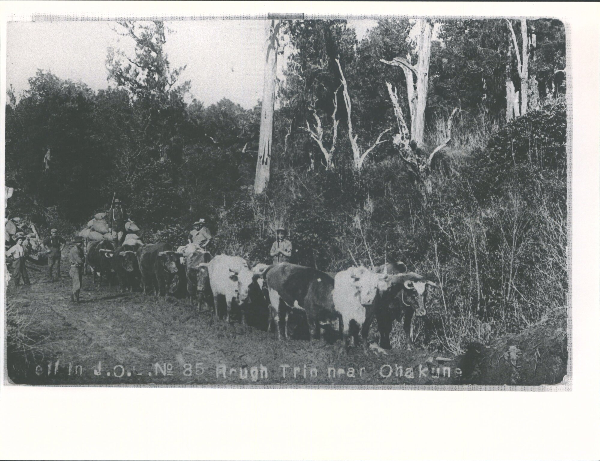 Ohakune - rough trip