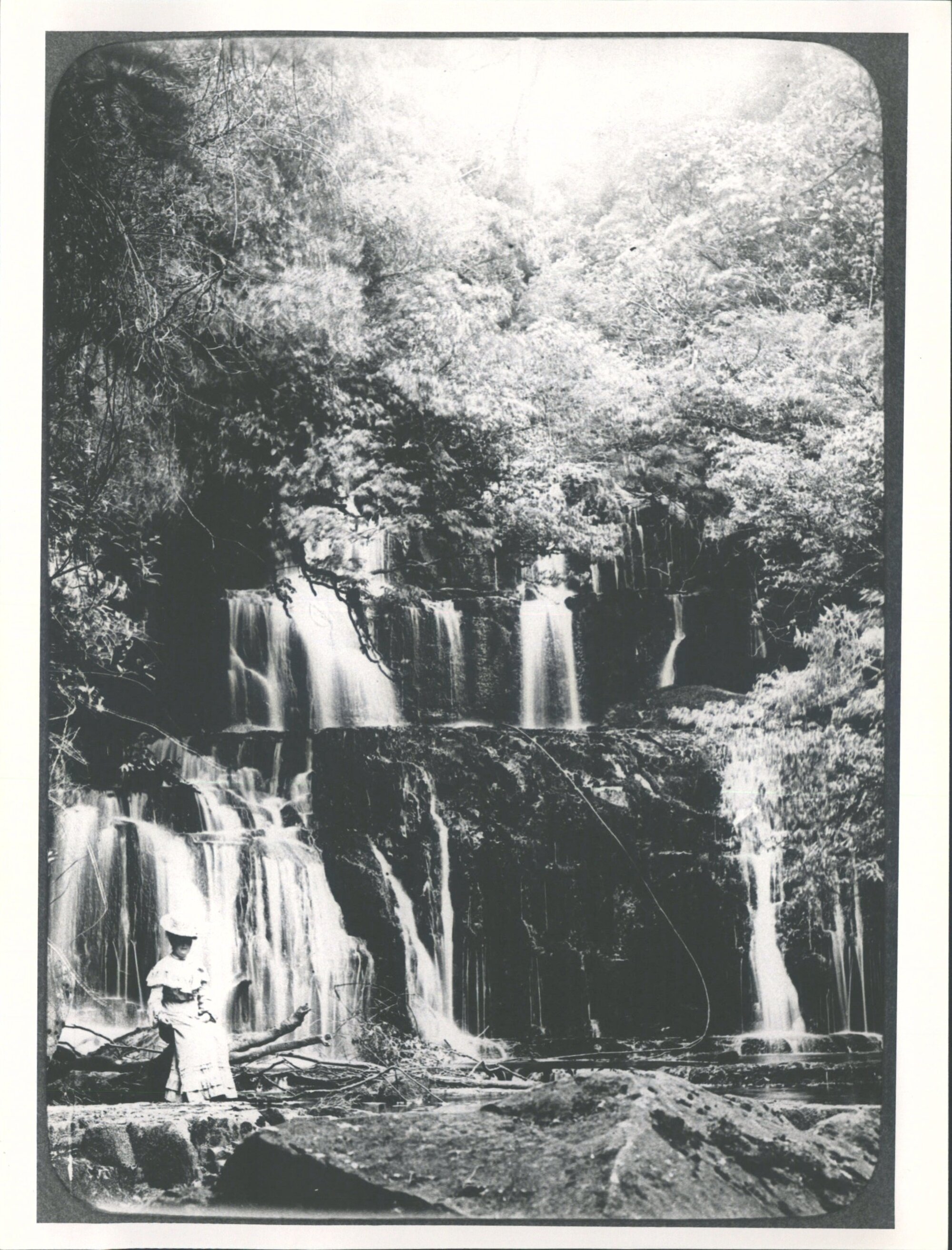 Purakaunui Falls
