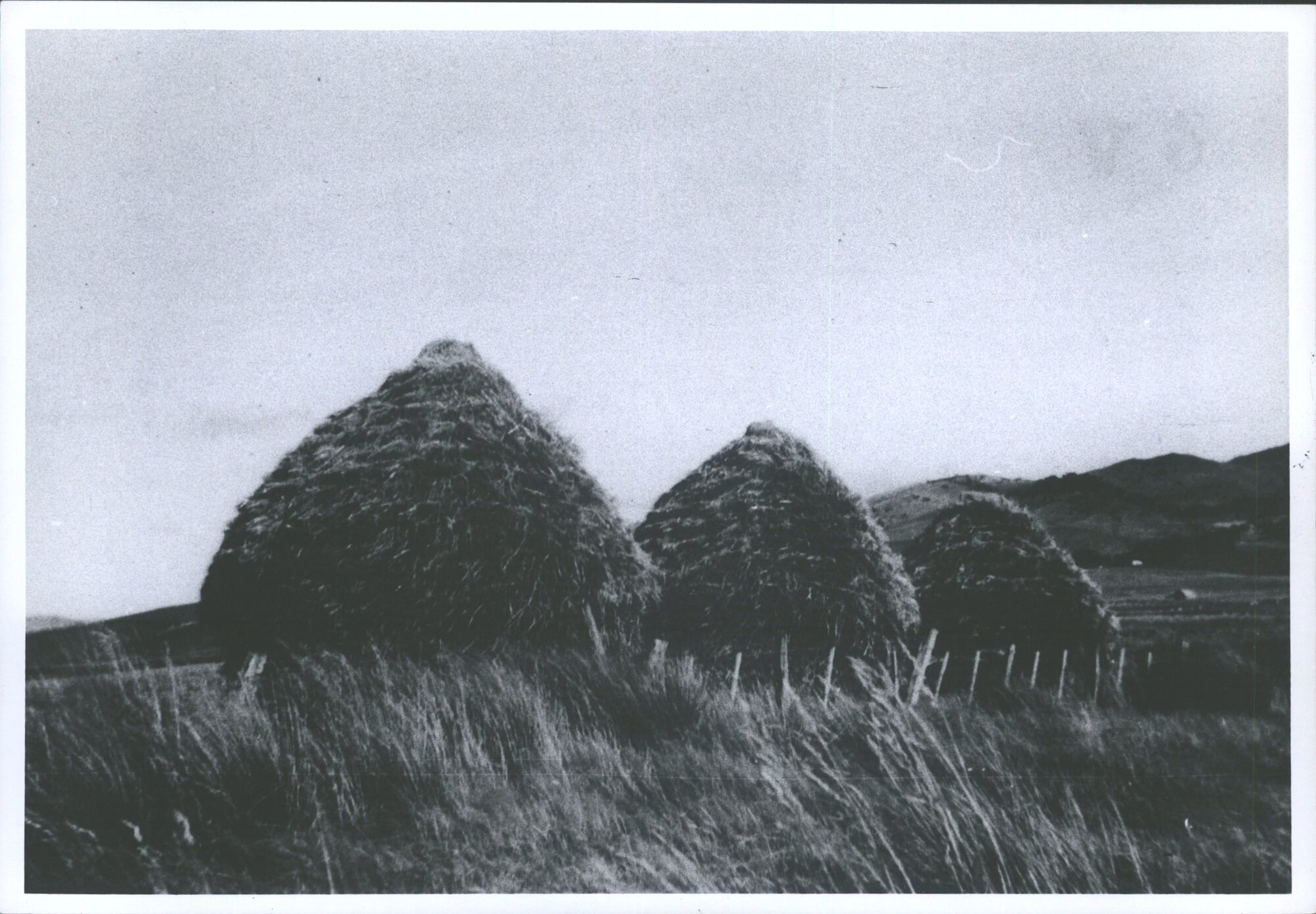 Haystacks