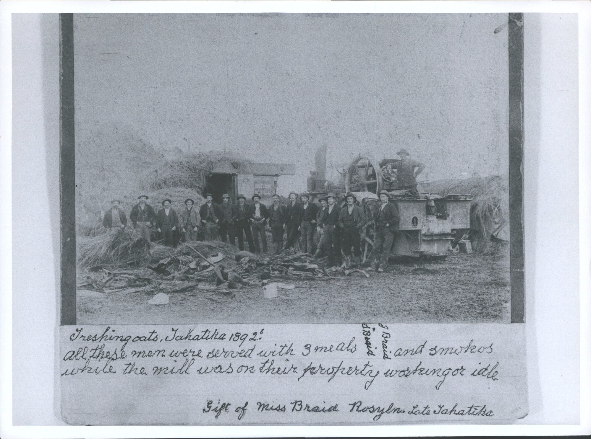 Agriculture : Catlins