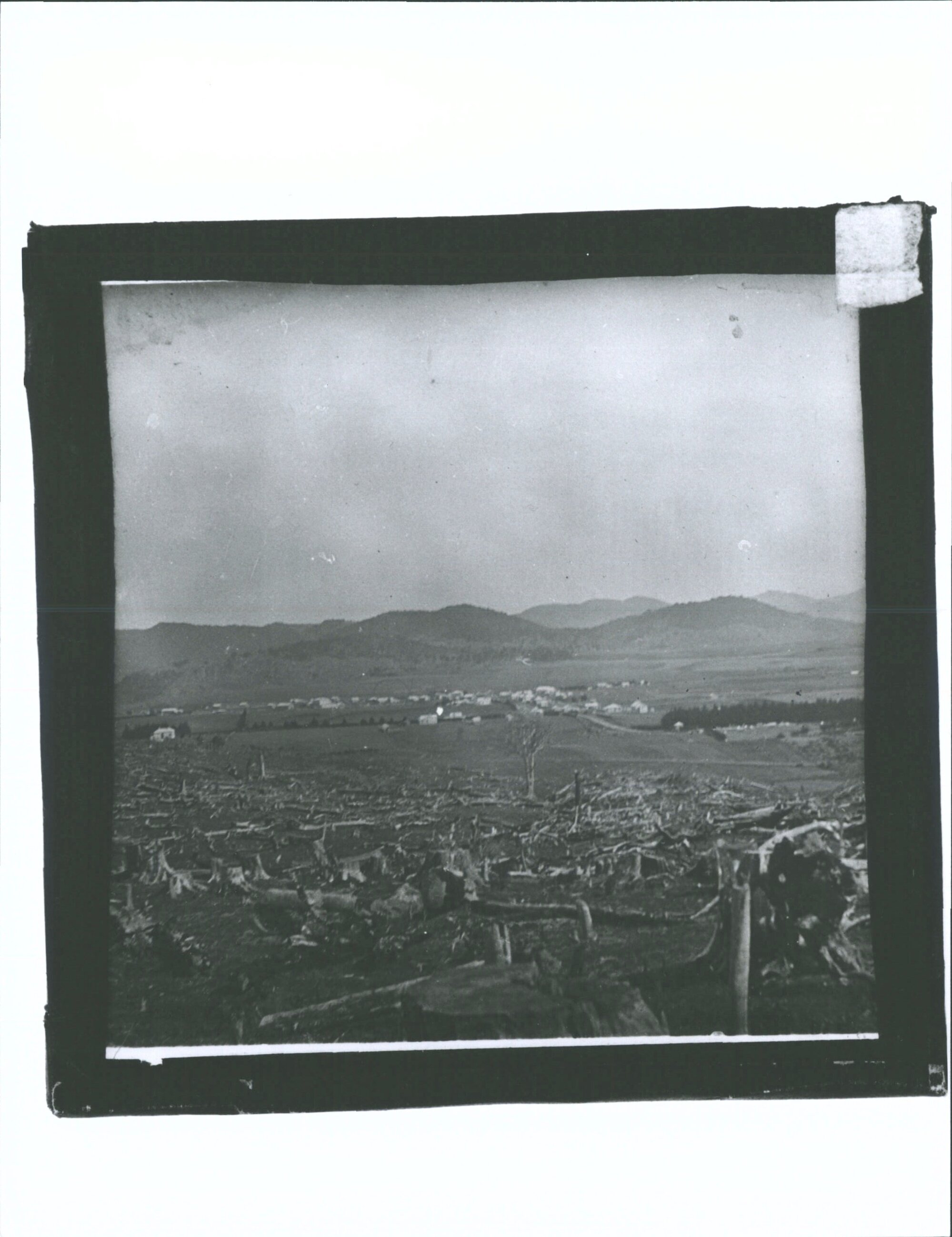 J. Chisholm Glass Lantern Slide 220