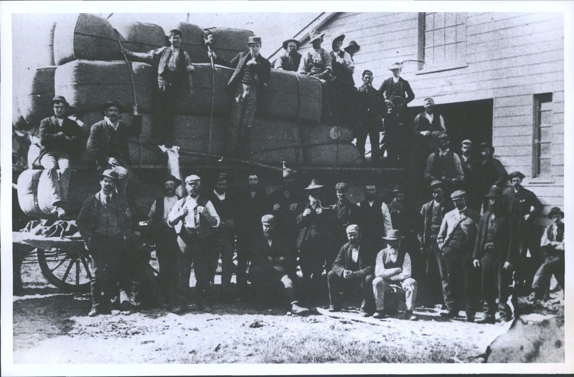 Woolshed Levill Sattlement