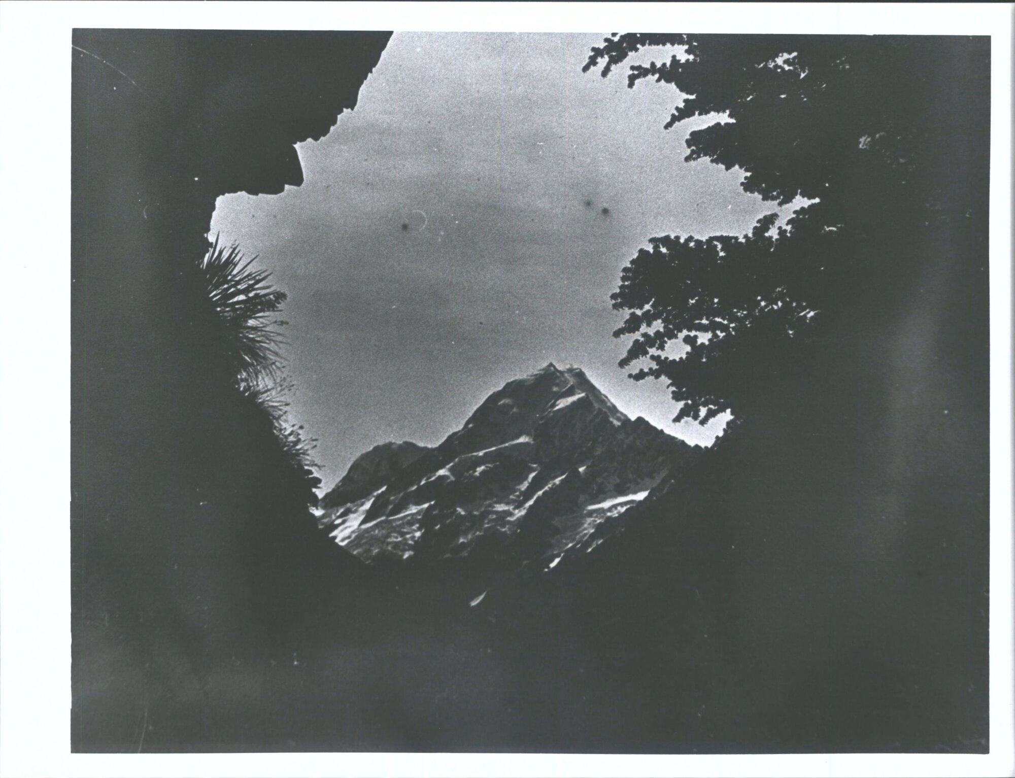 from behind the Hermitage