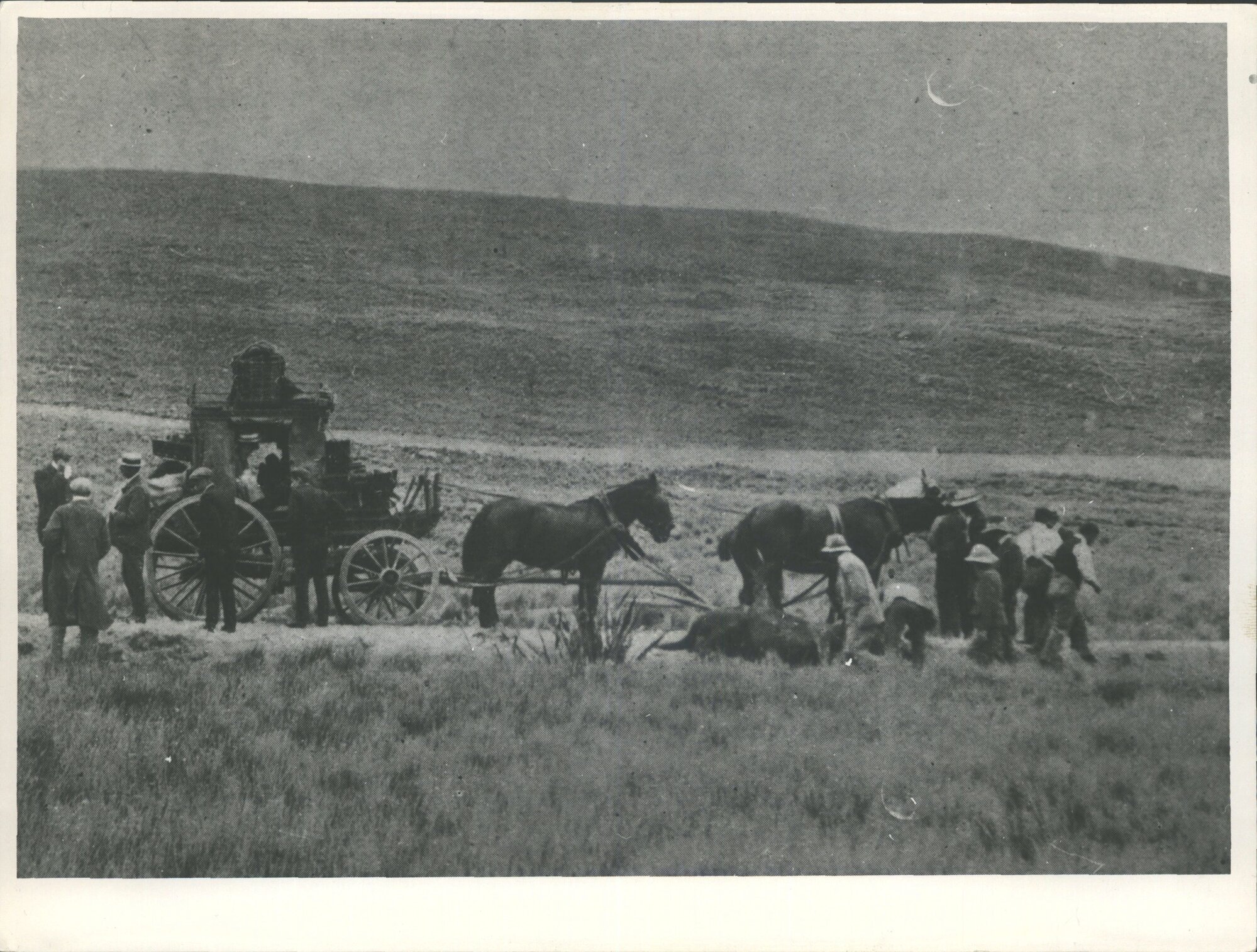 Horse-drawn vehicle, The Dead Horse[?] (Otira) with the MCC to NZ 1906 -07.
