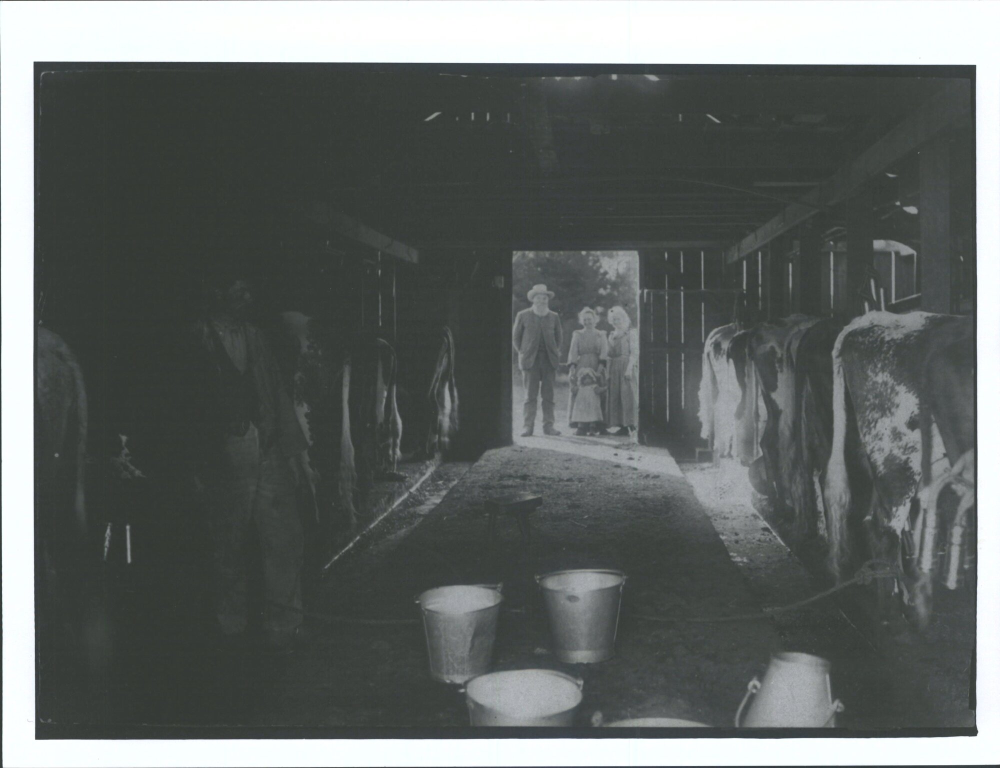 ex Archives MS1165 - Reid &amp; Gray