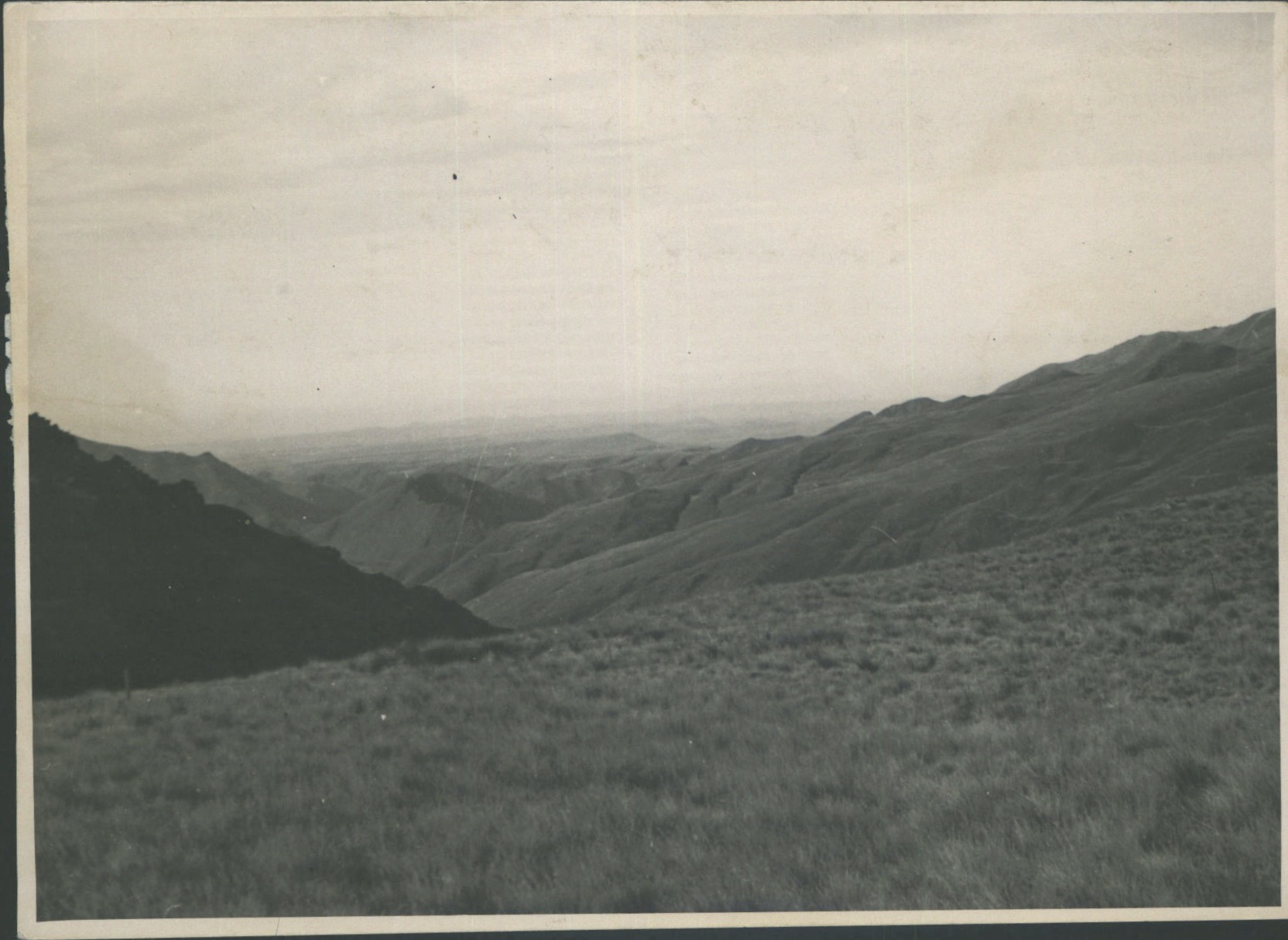 Controlled grazing results