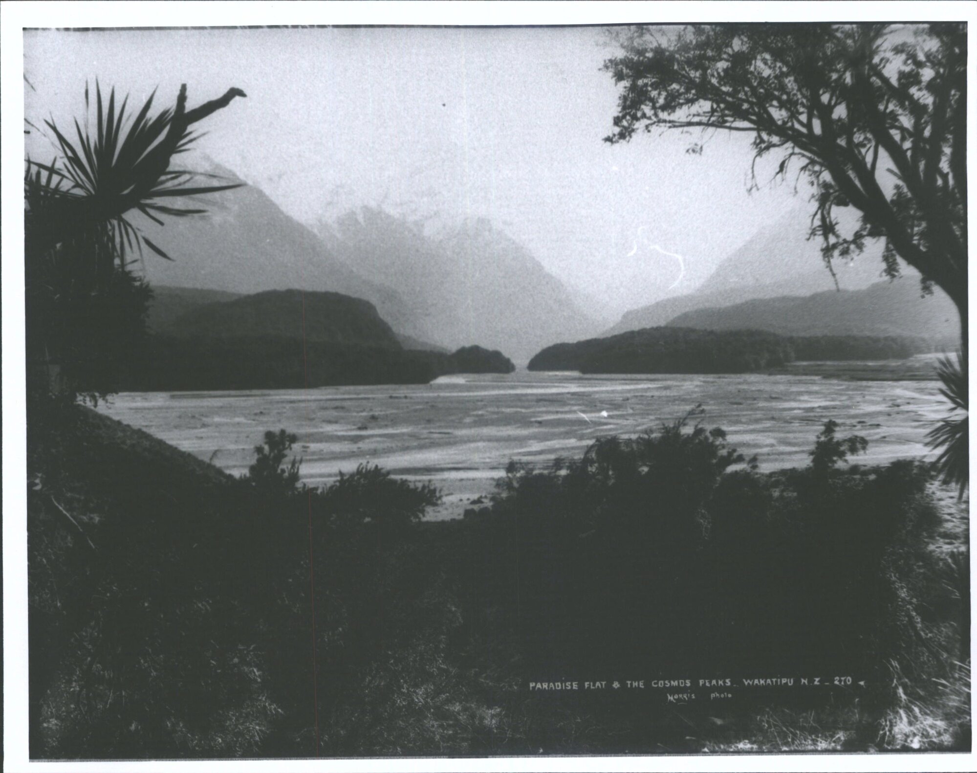 Paradise Flat &amp; the Cosmos Peaks, Wakitipu NZ