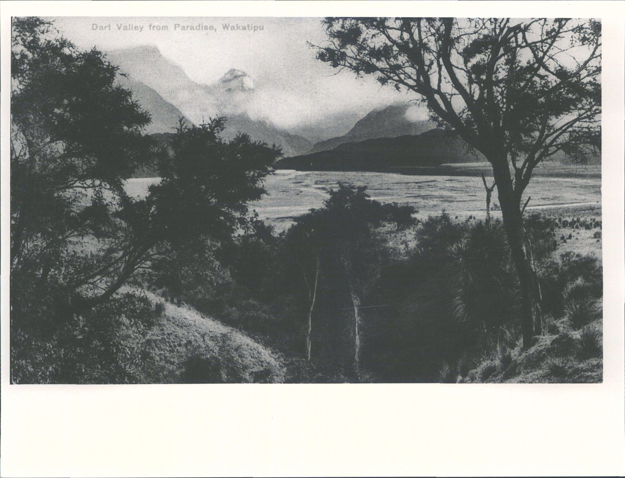 Dart Valley, from Paradise