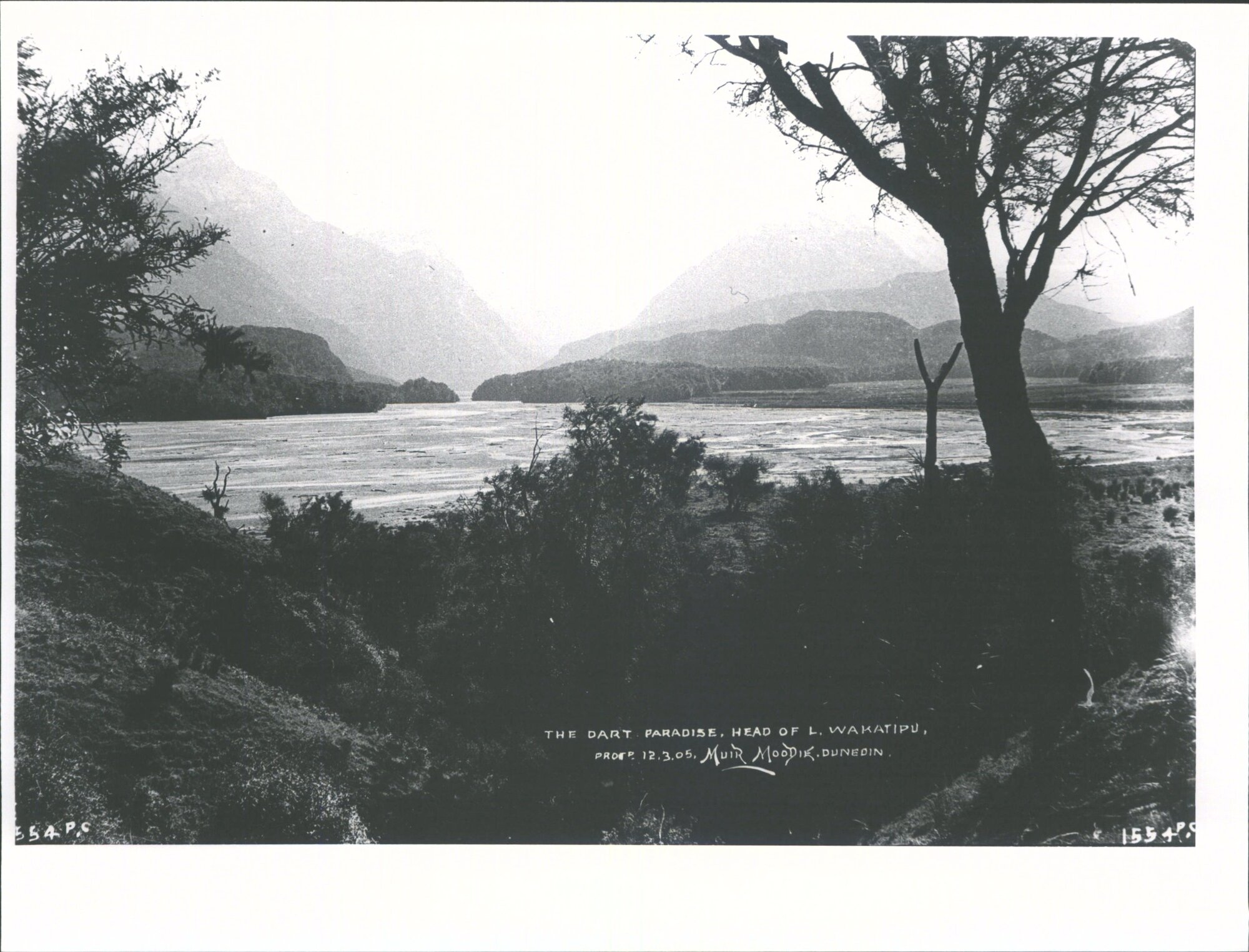 Paradise, Head of Lake Wakatipu'