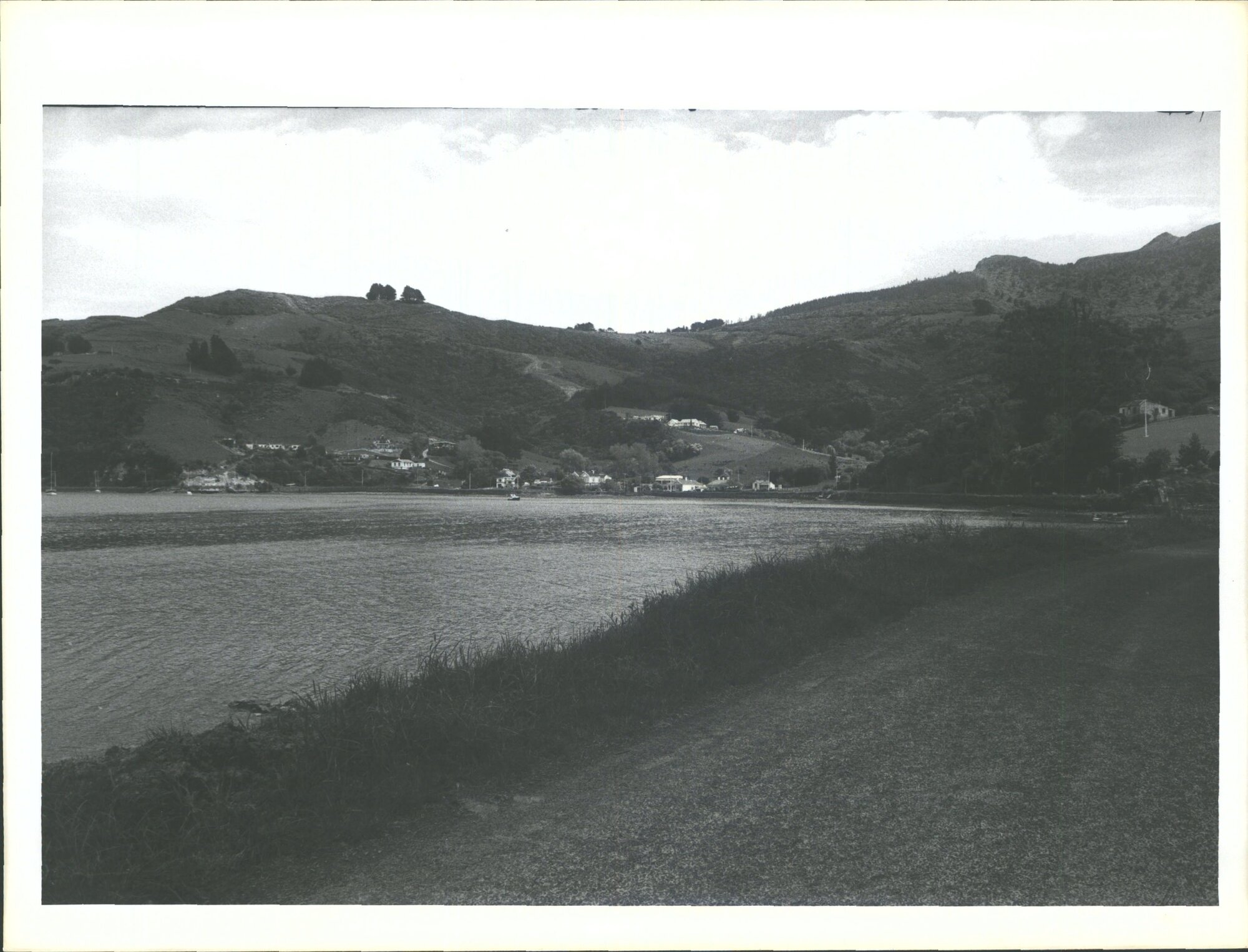 OTAGO HARBOUR