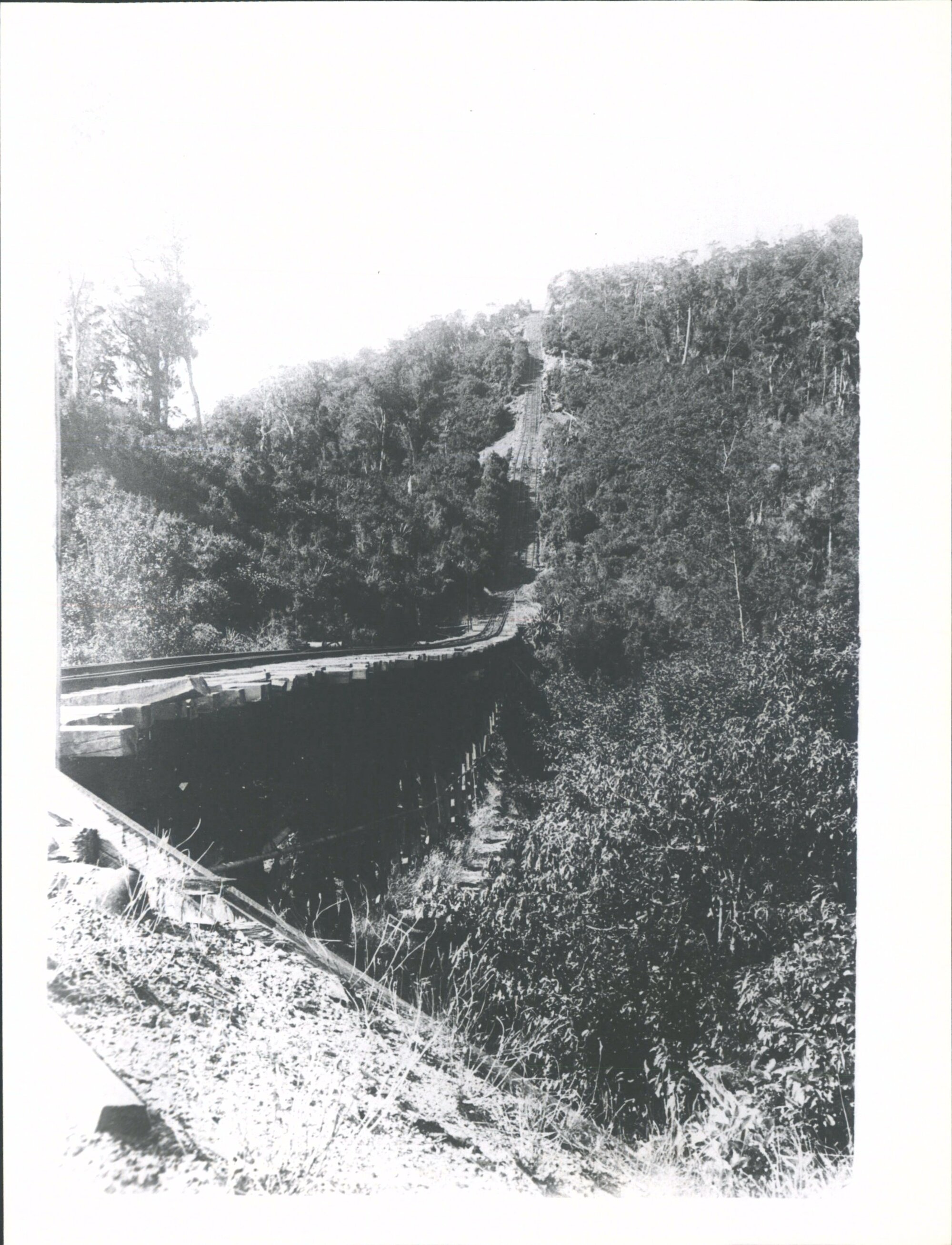 Top half of Denniston Incline.