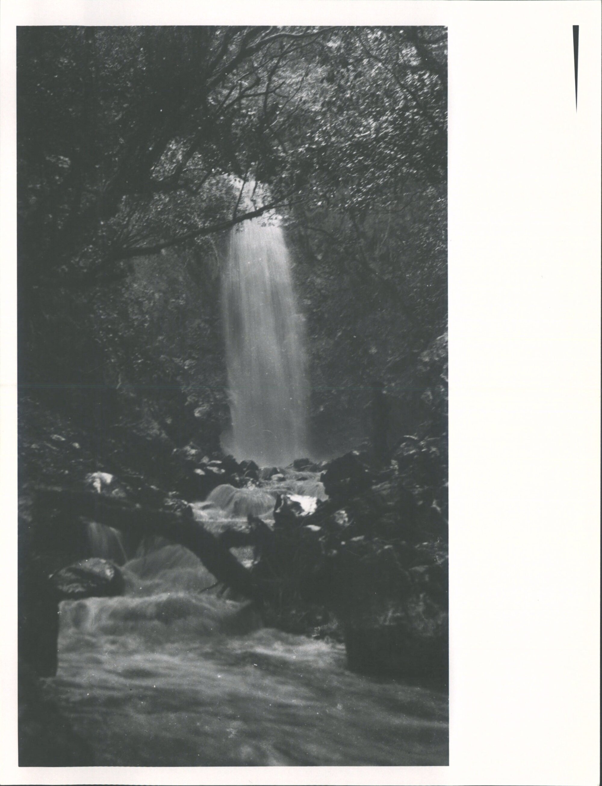 (Leith Valley, Glenleith &amp; vicinity)