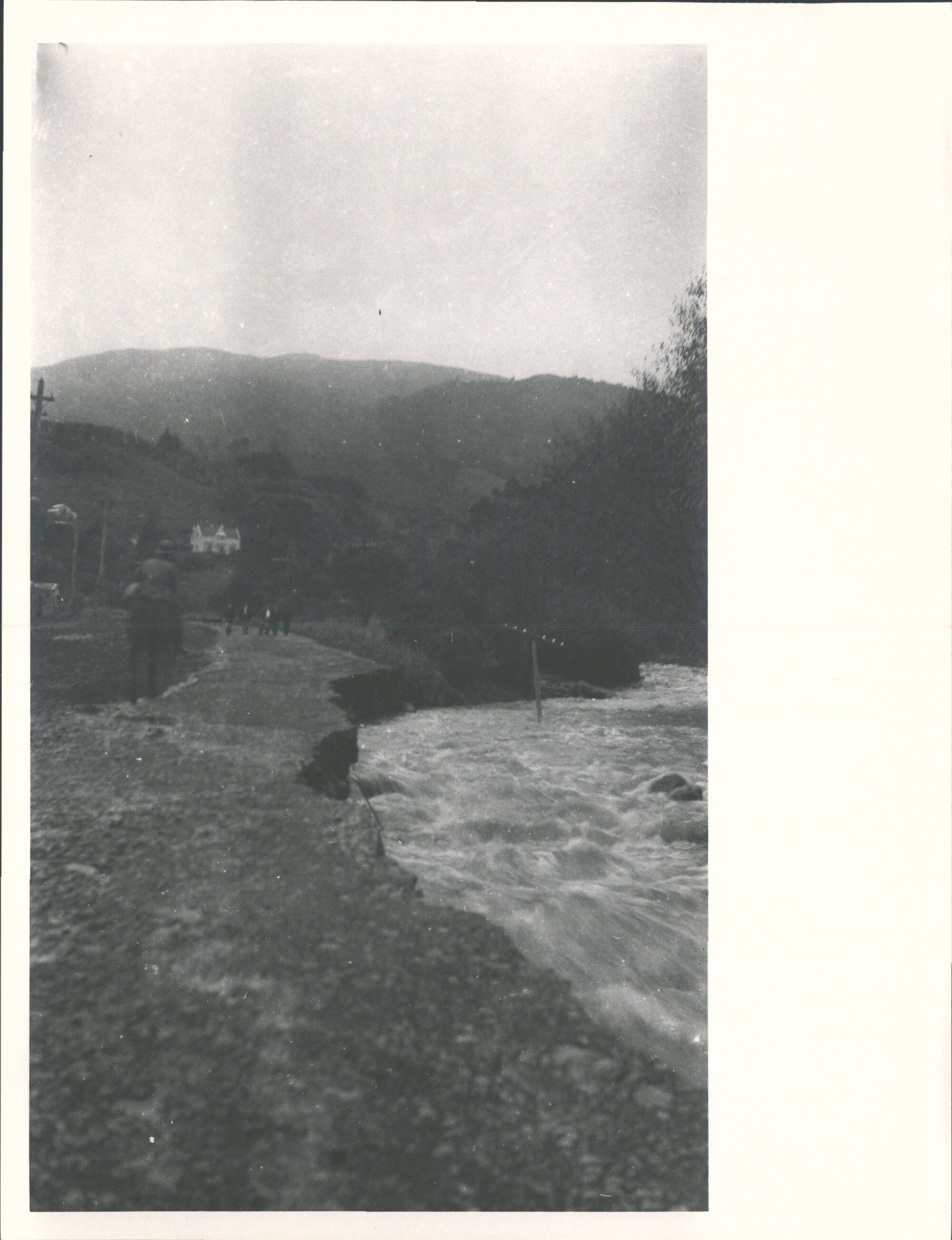 (Leith Valley, Glenleith &amp; vicinity)