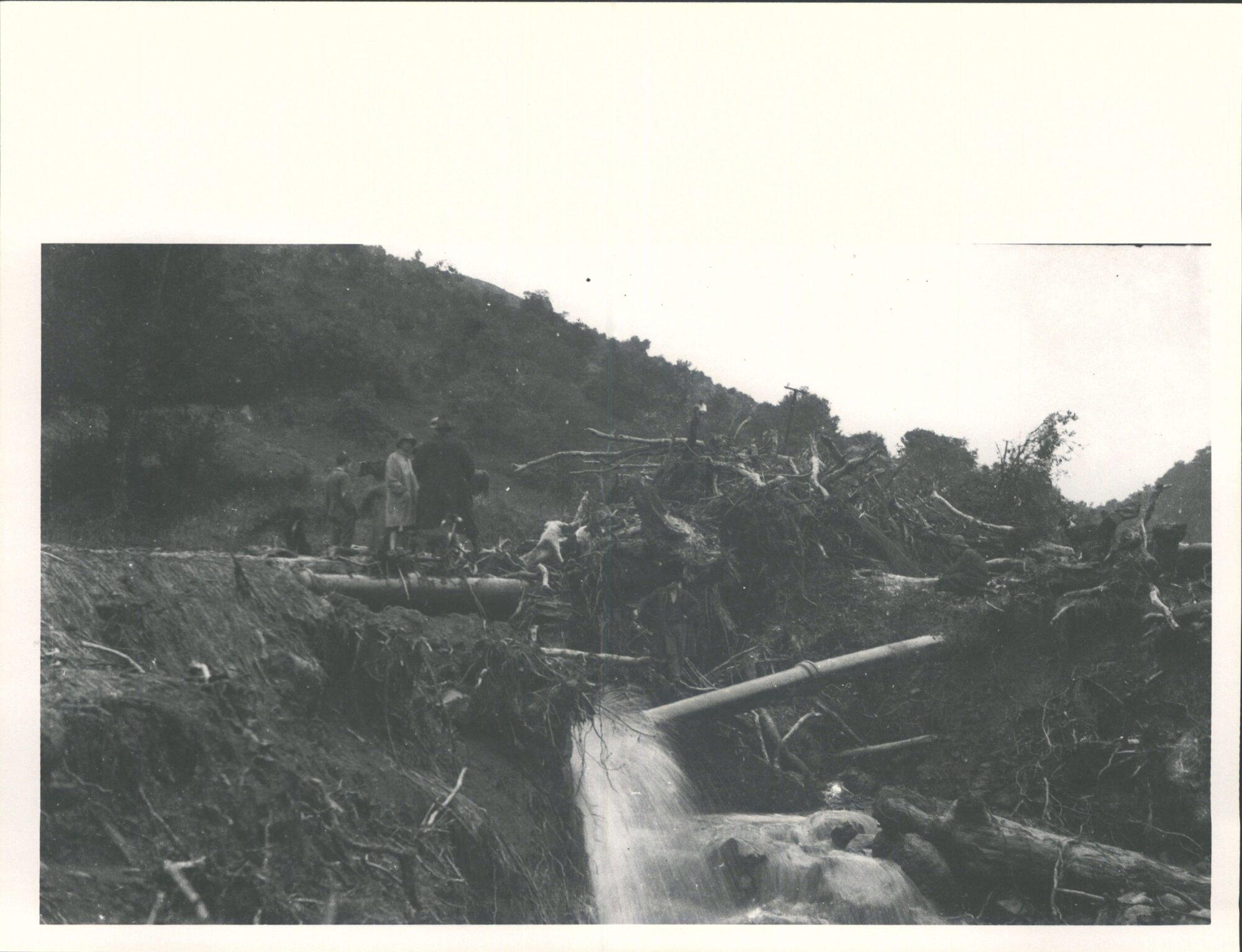 (Leith Valley, Glenleith &amp; vicinity)