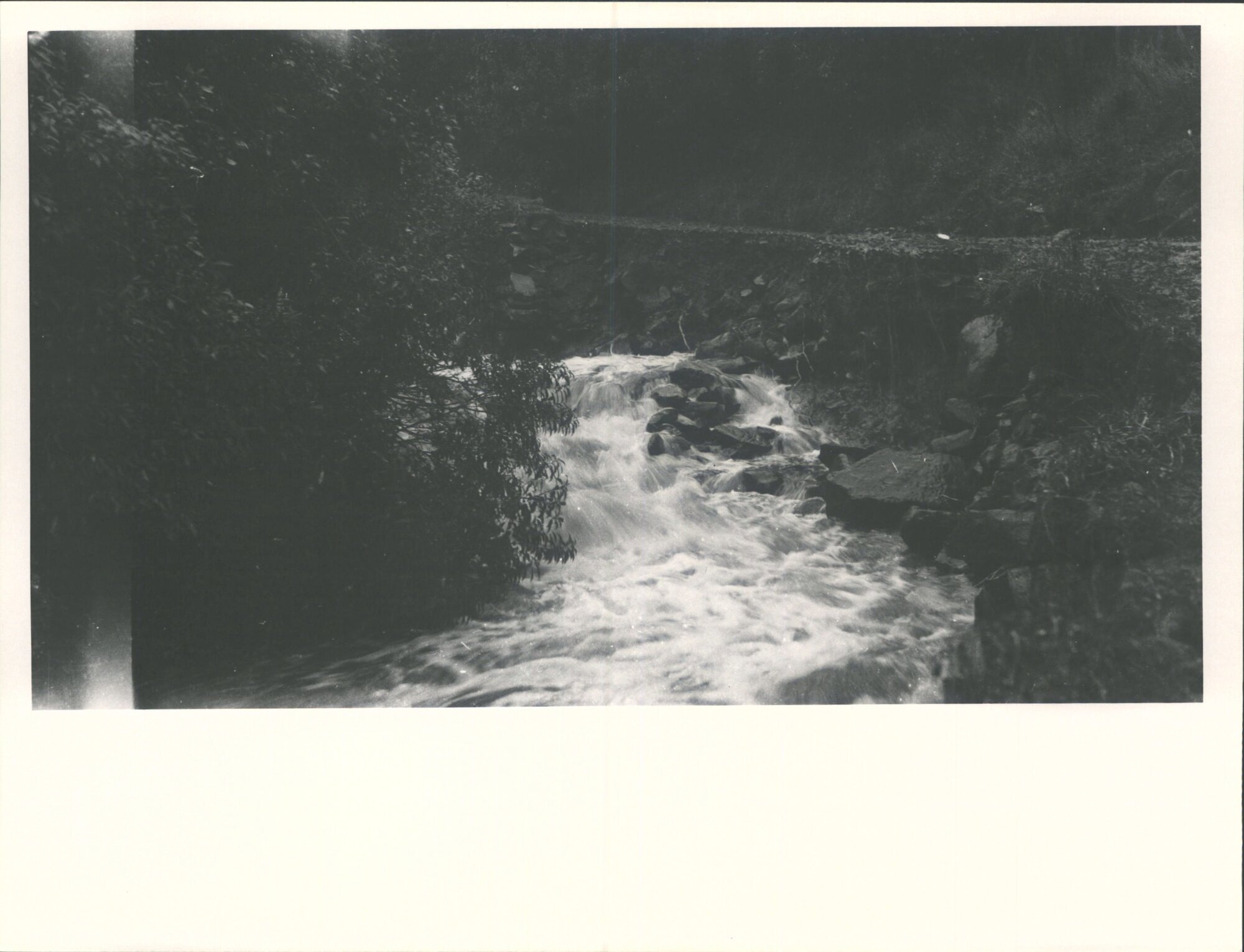 (Leith Valley, Glenleith &amp; vicinity)
