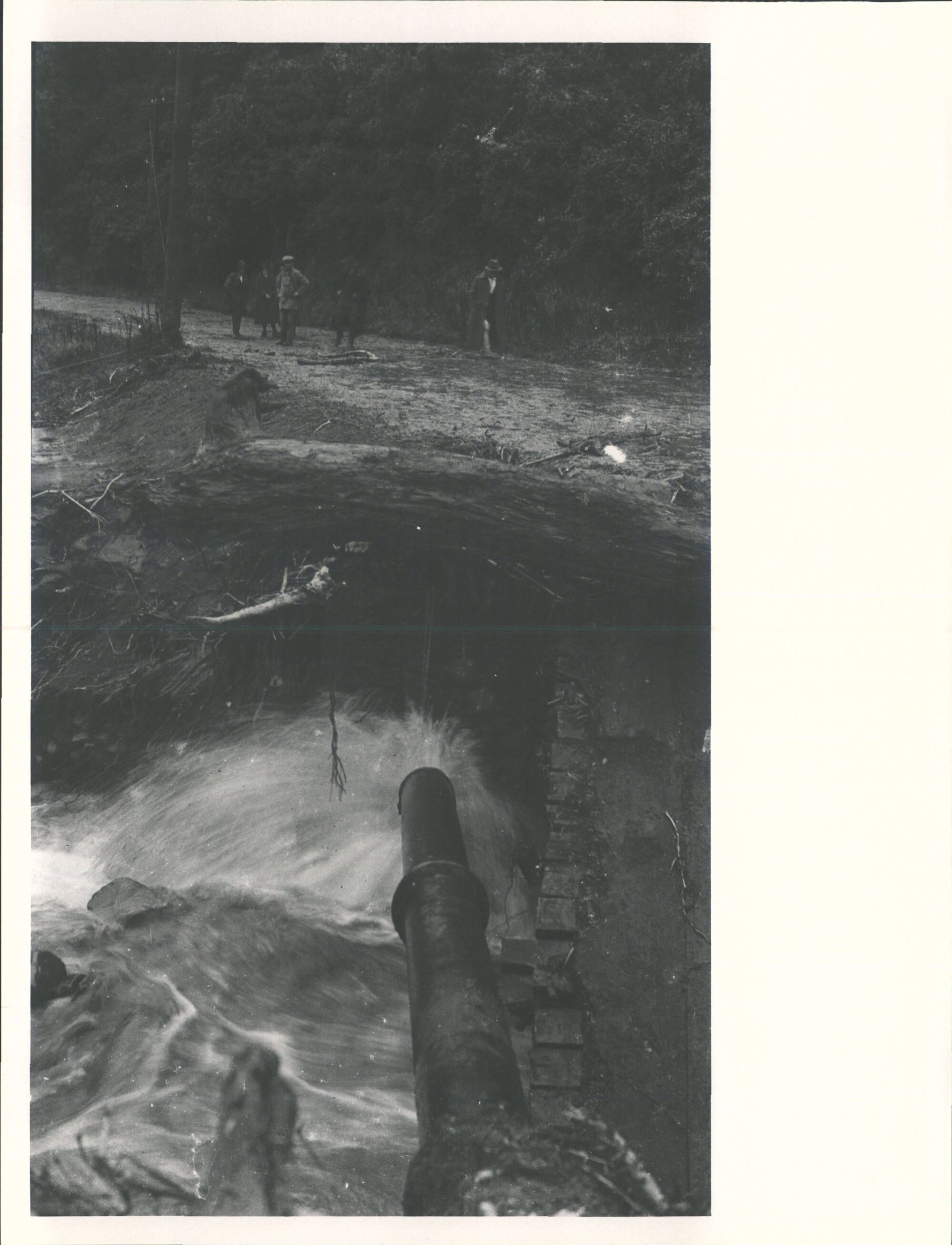 (Leith Valley, Glenleith &amp; vicinity)