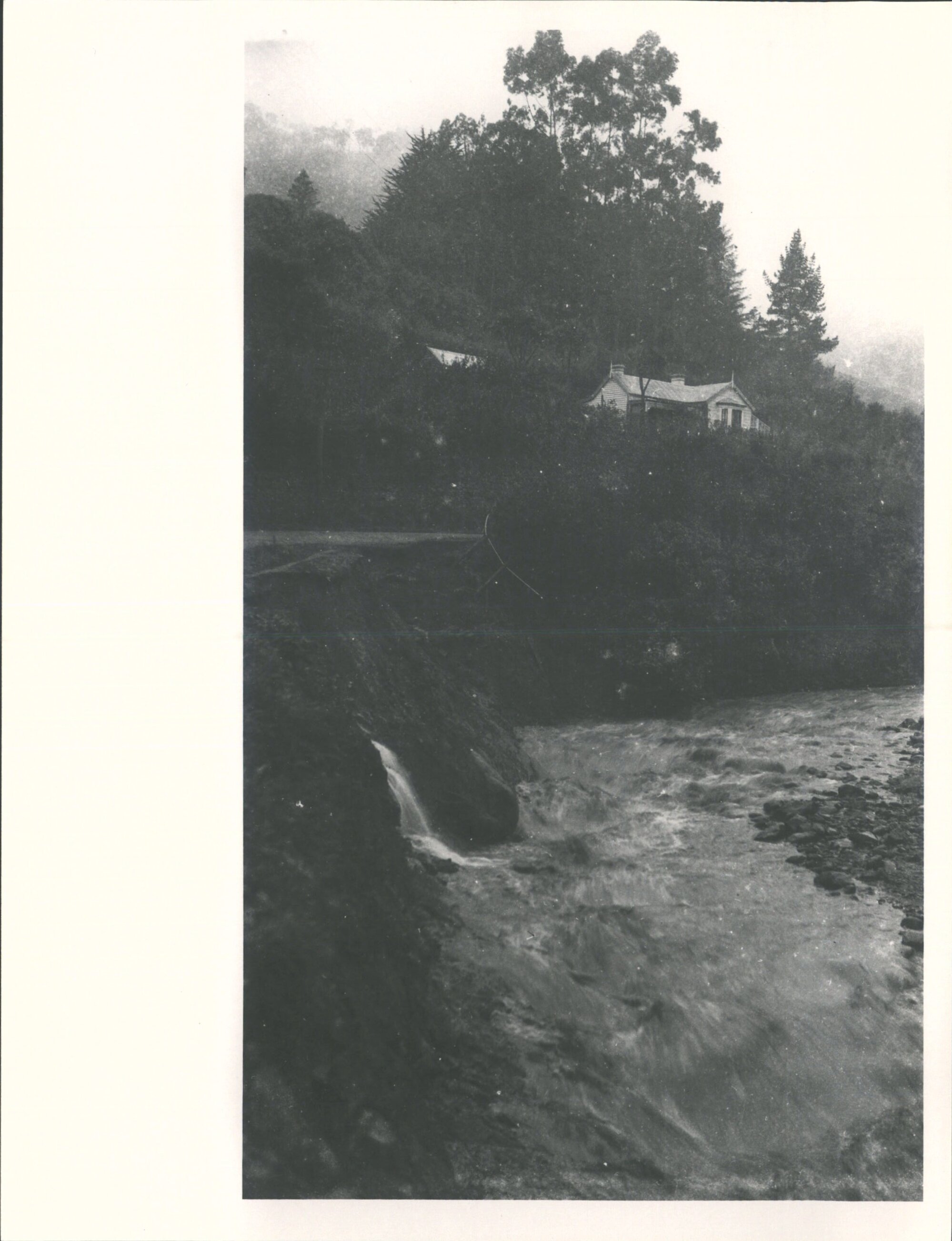 (Leith Valley, Glenleith &amp; vicinity)