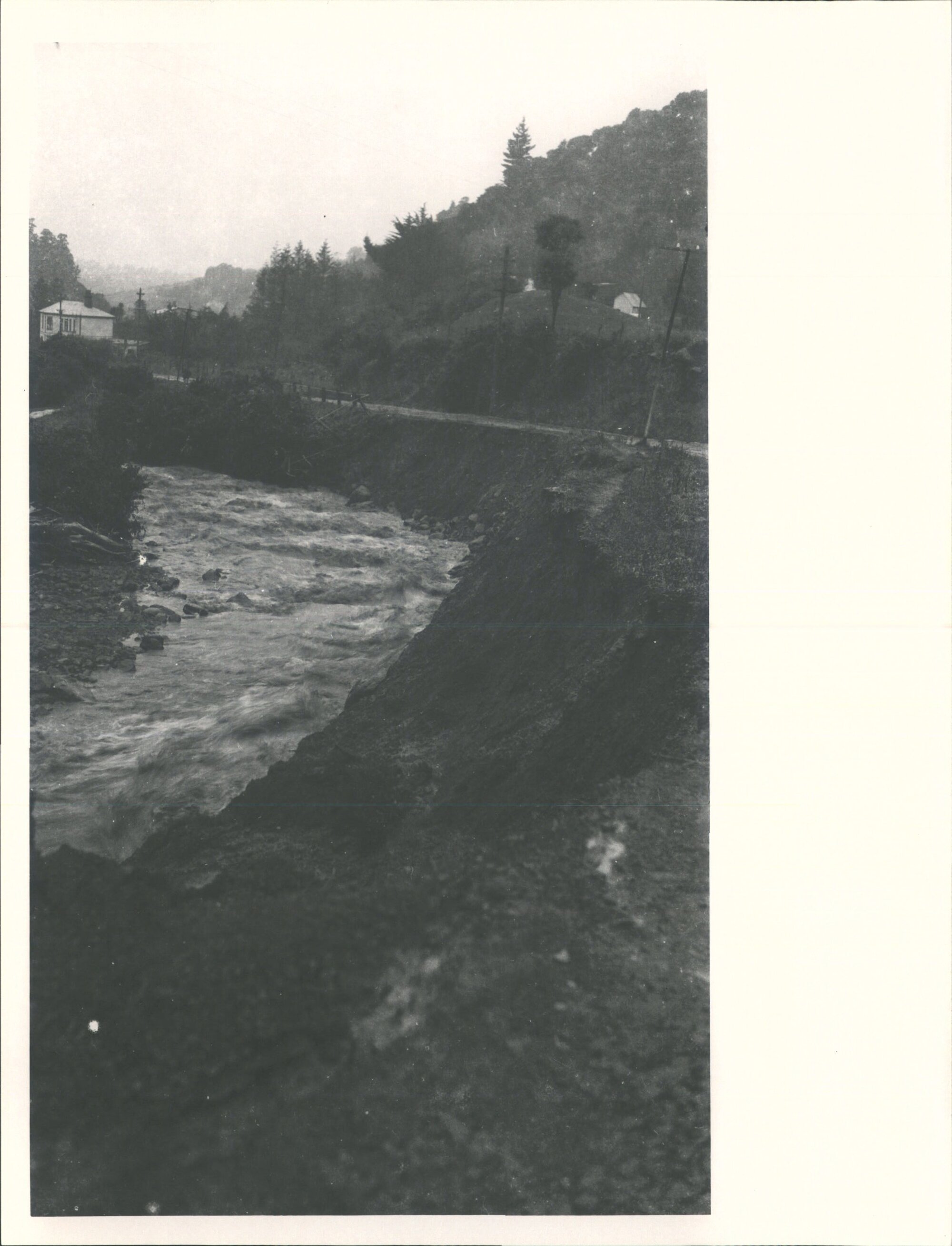 (Leith Valley, Glenleith &amp; vicinity)