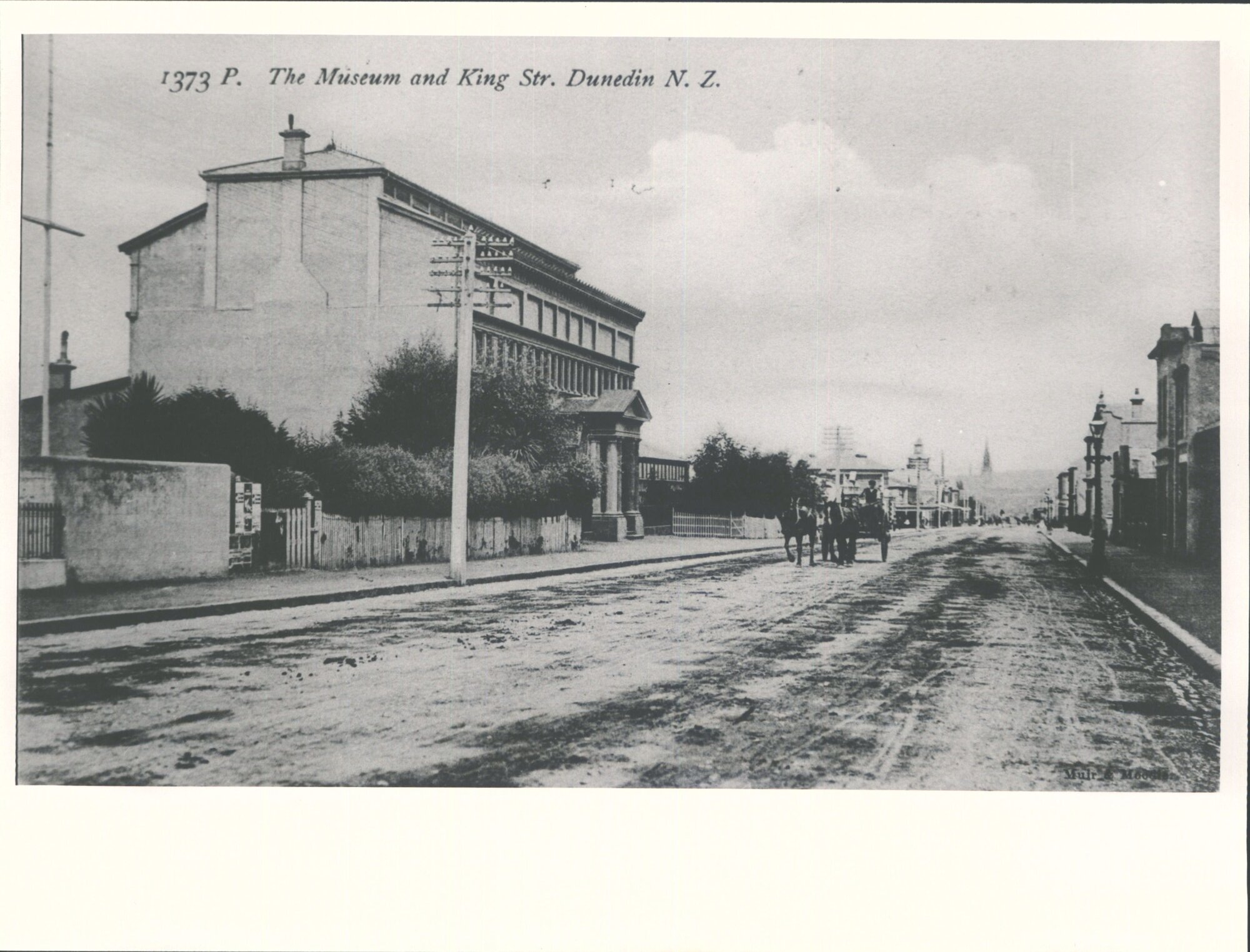 The Museum and King Str. Dunedin, N.Z.