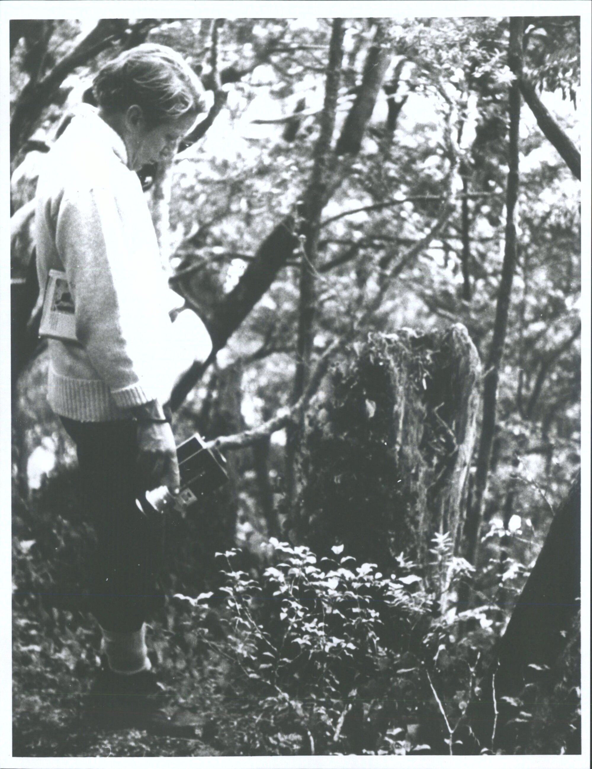 Astronomers Point Dusky Sound