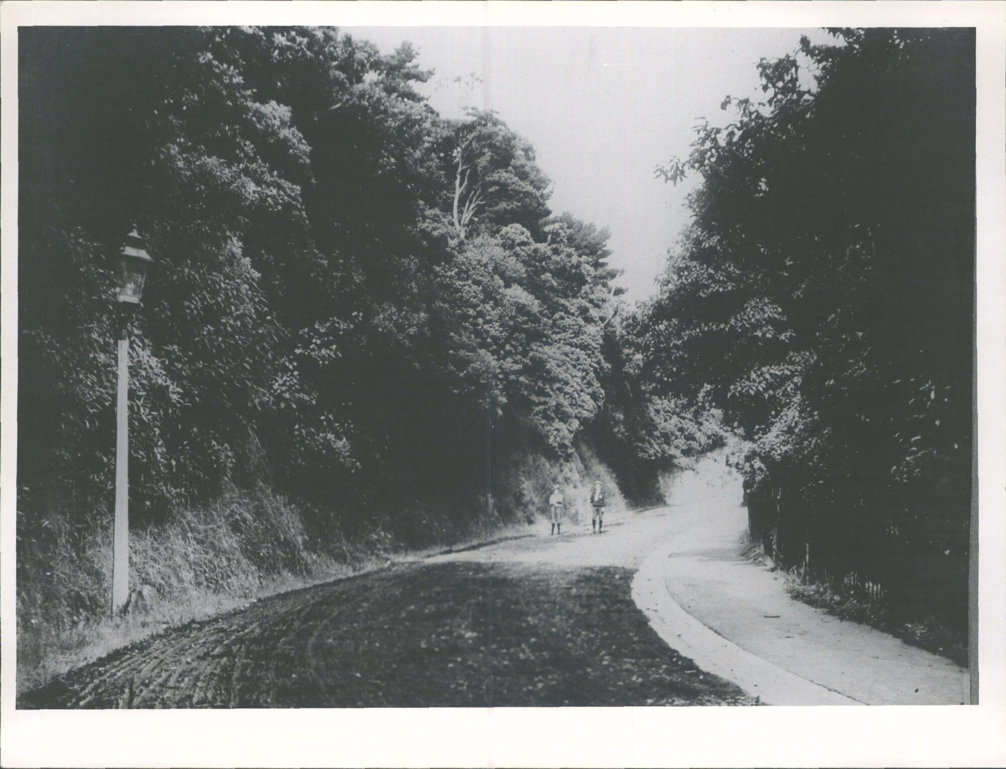 Bathgates Bush in the eighties, Kerosene Street lamp which was the only one in Mornington'