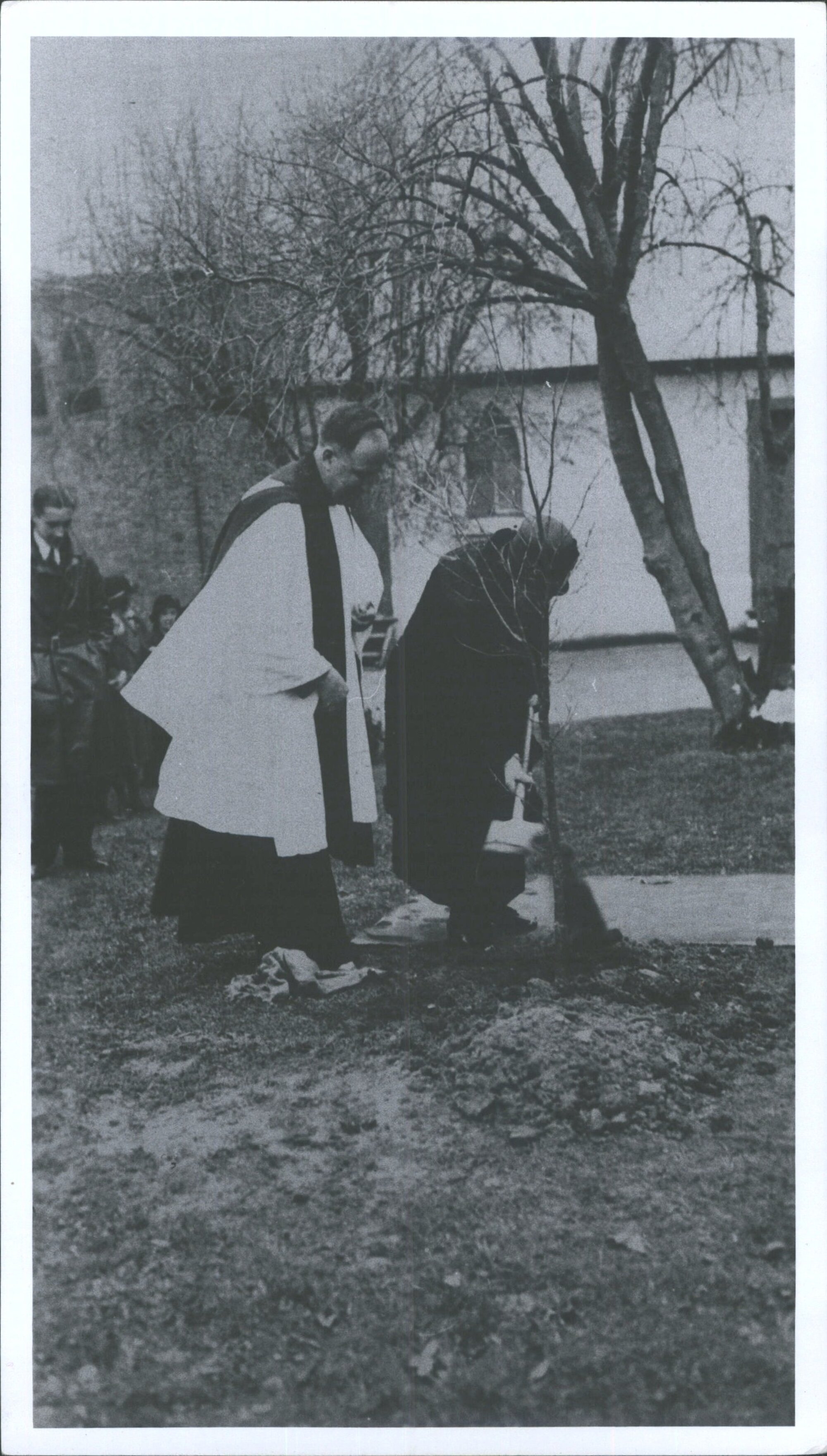 Planting Jubilee Oak St Mary's Mornington