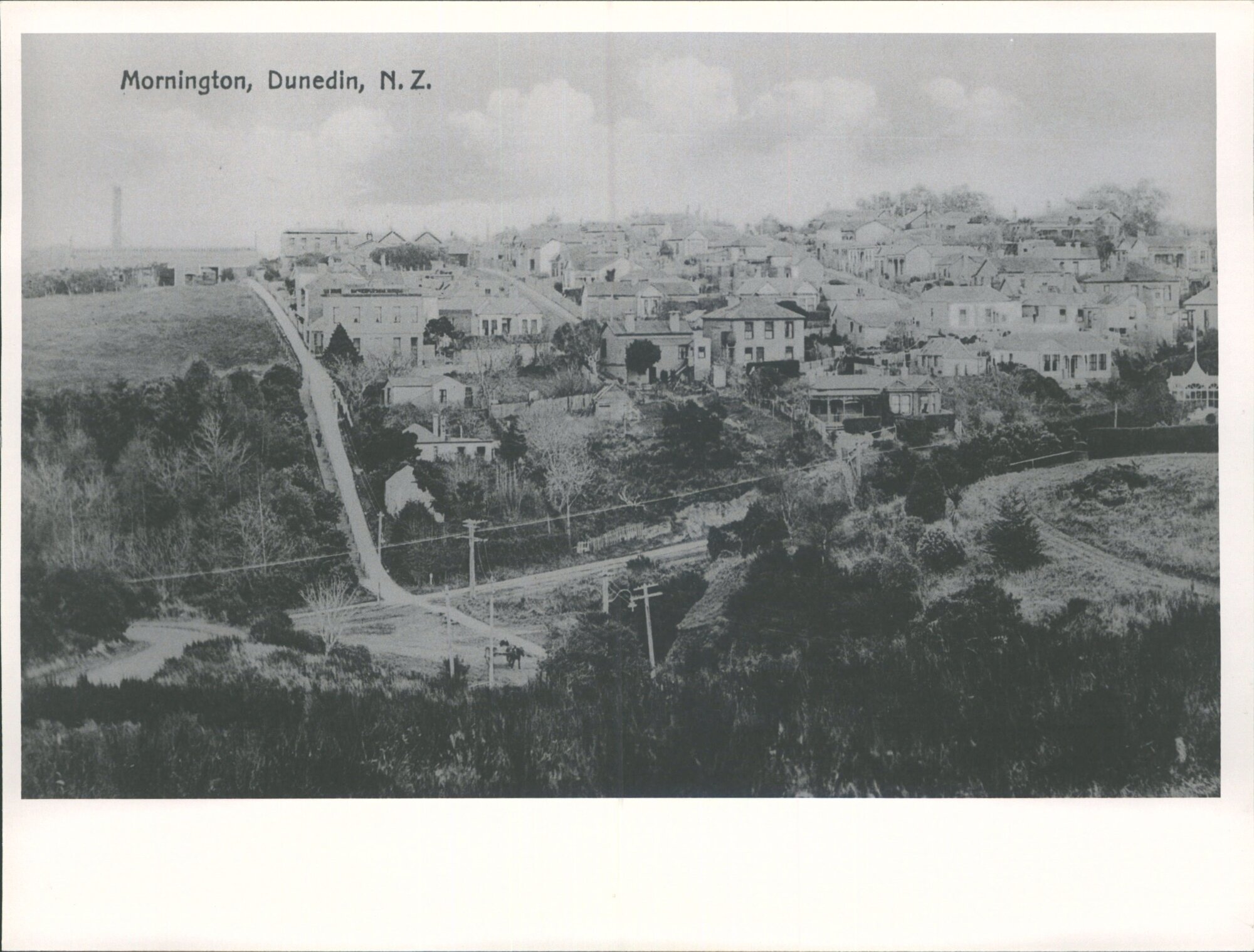 Mornington, Dunedin, N.Z.