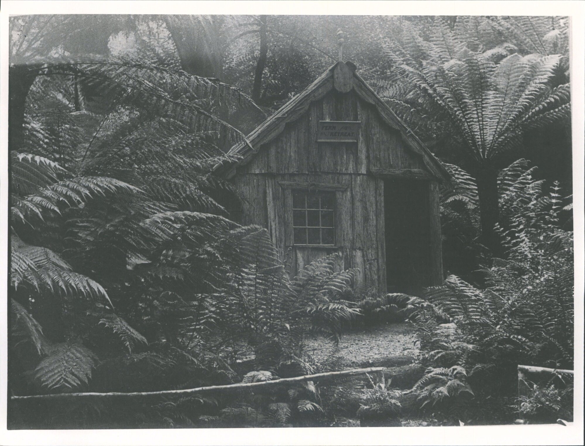 Catlins District "Fern Retreat"