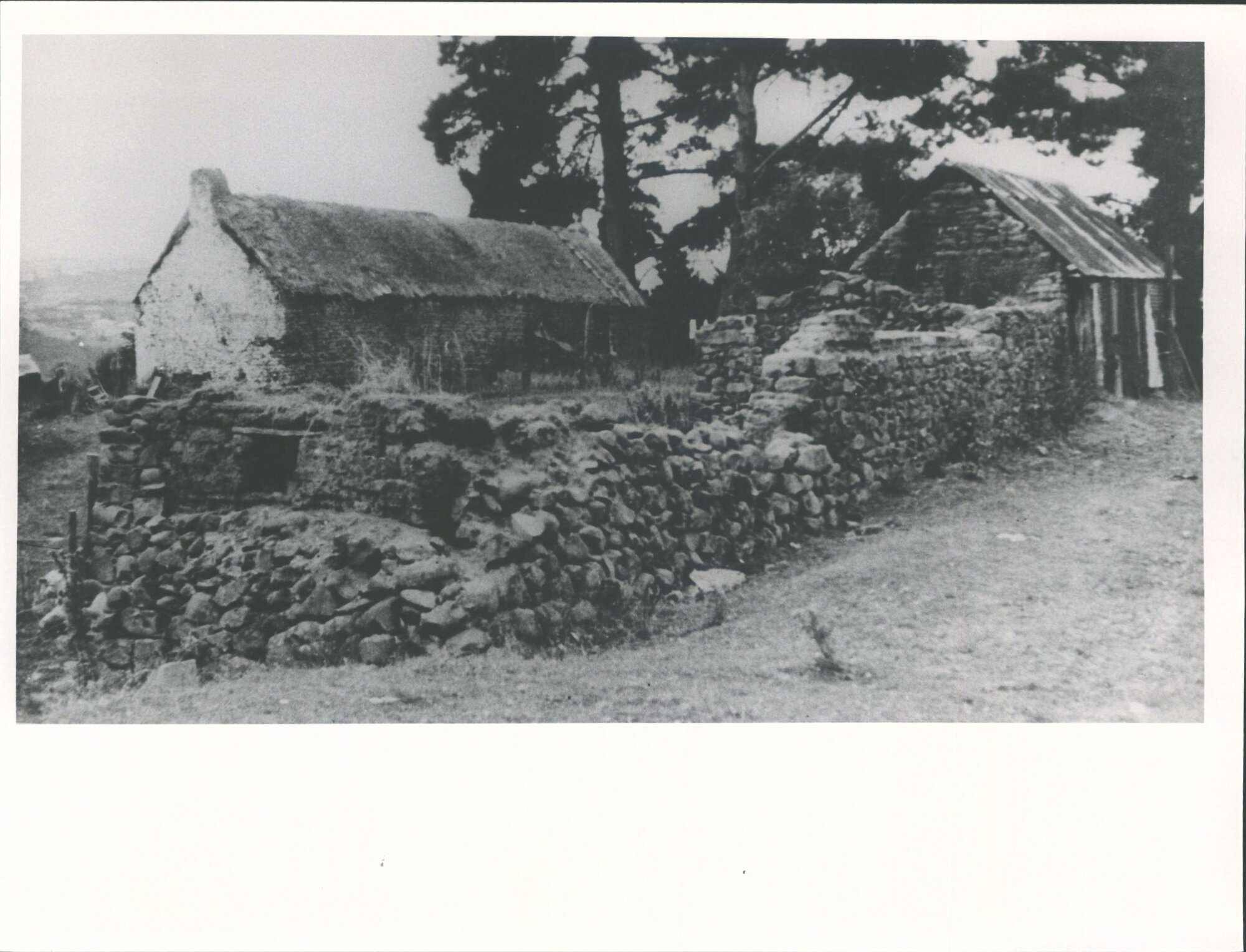Cook cottage, Catlins [A Pioneers sod cottage, Burnside?]