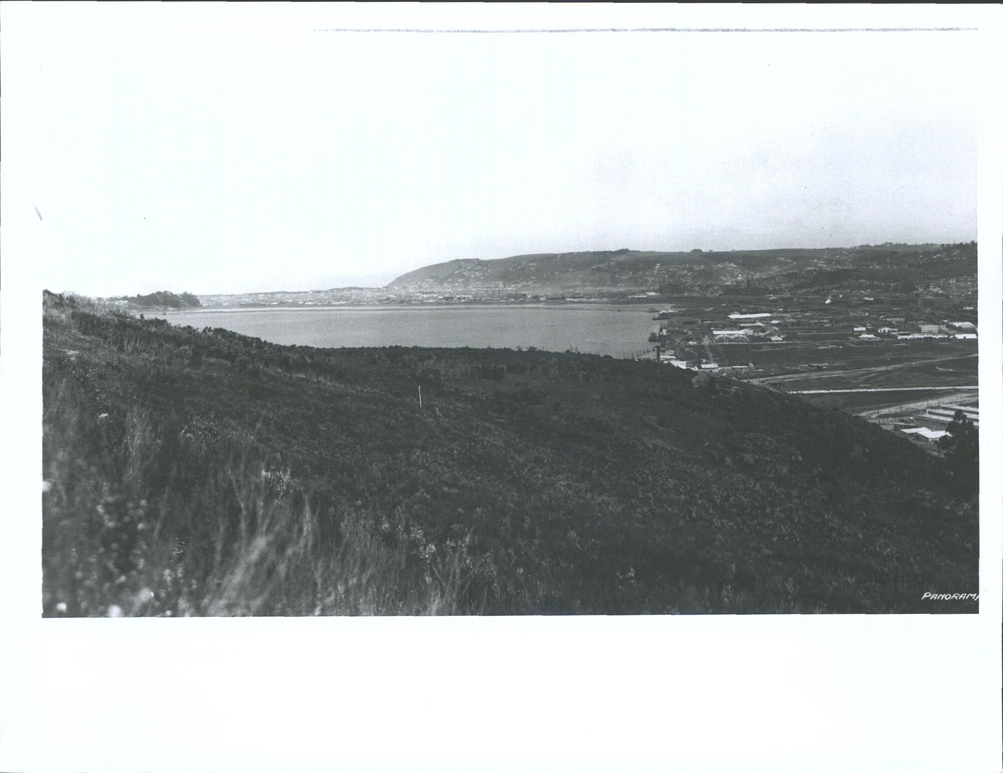 "Panorama of Dunedin, New Zealand 1925 no. 2" part 1 of 3