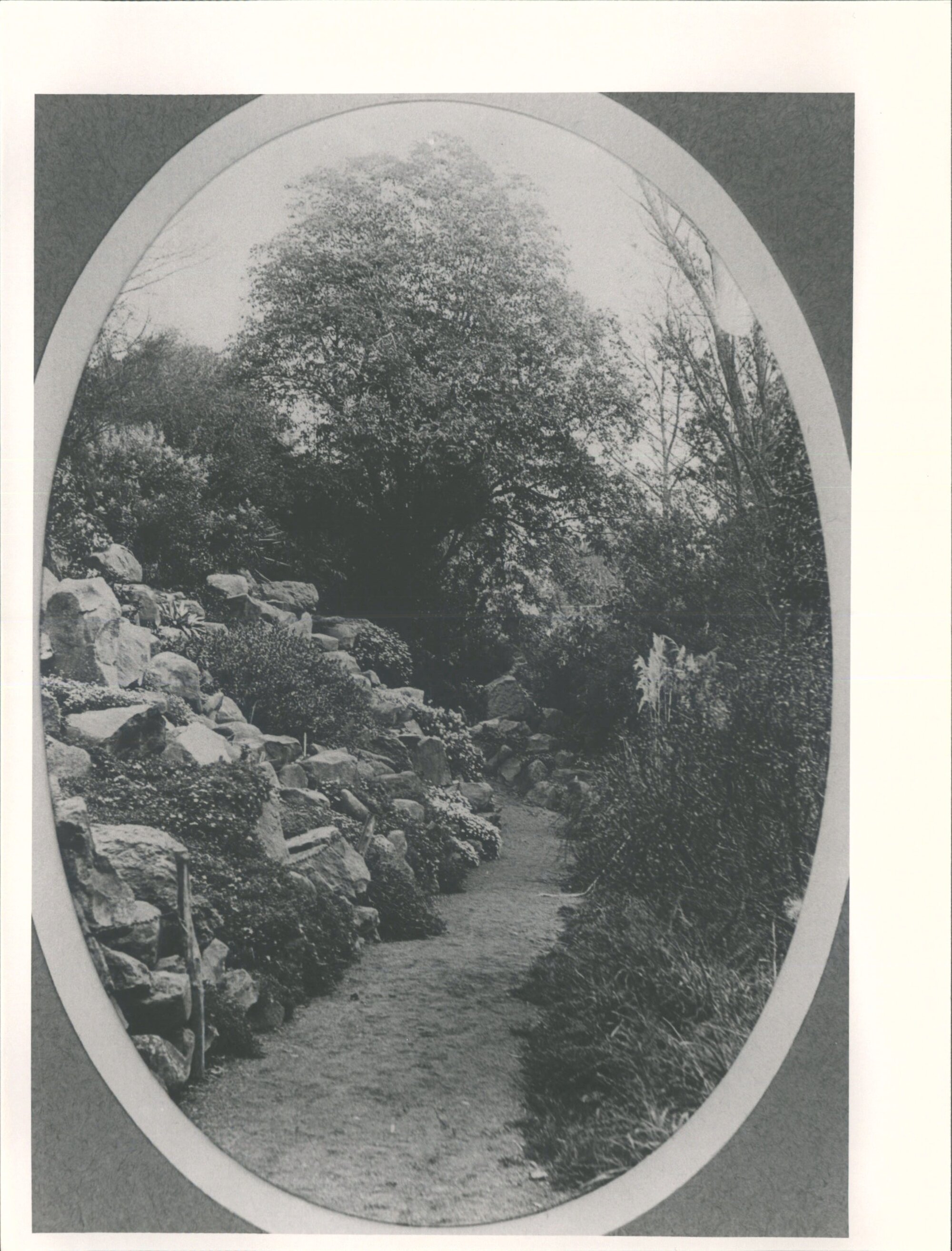 The Rockery