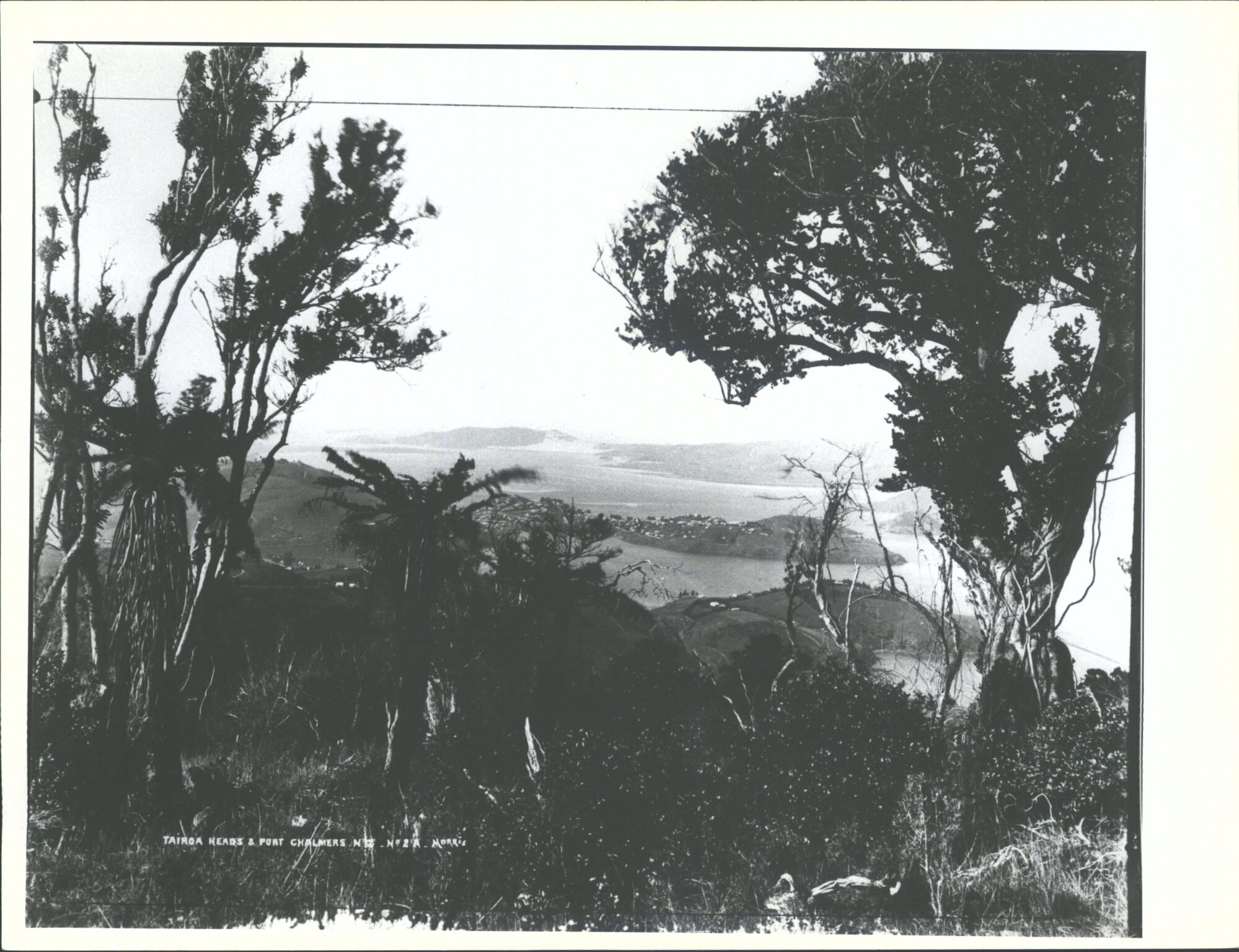 Taiaroa Heads &amp; Port Chalmers