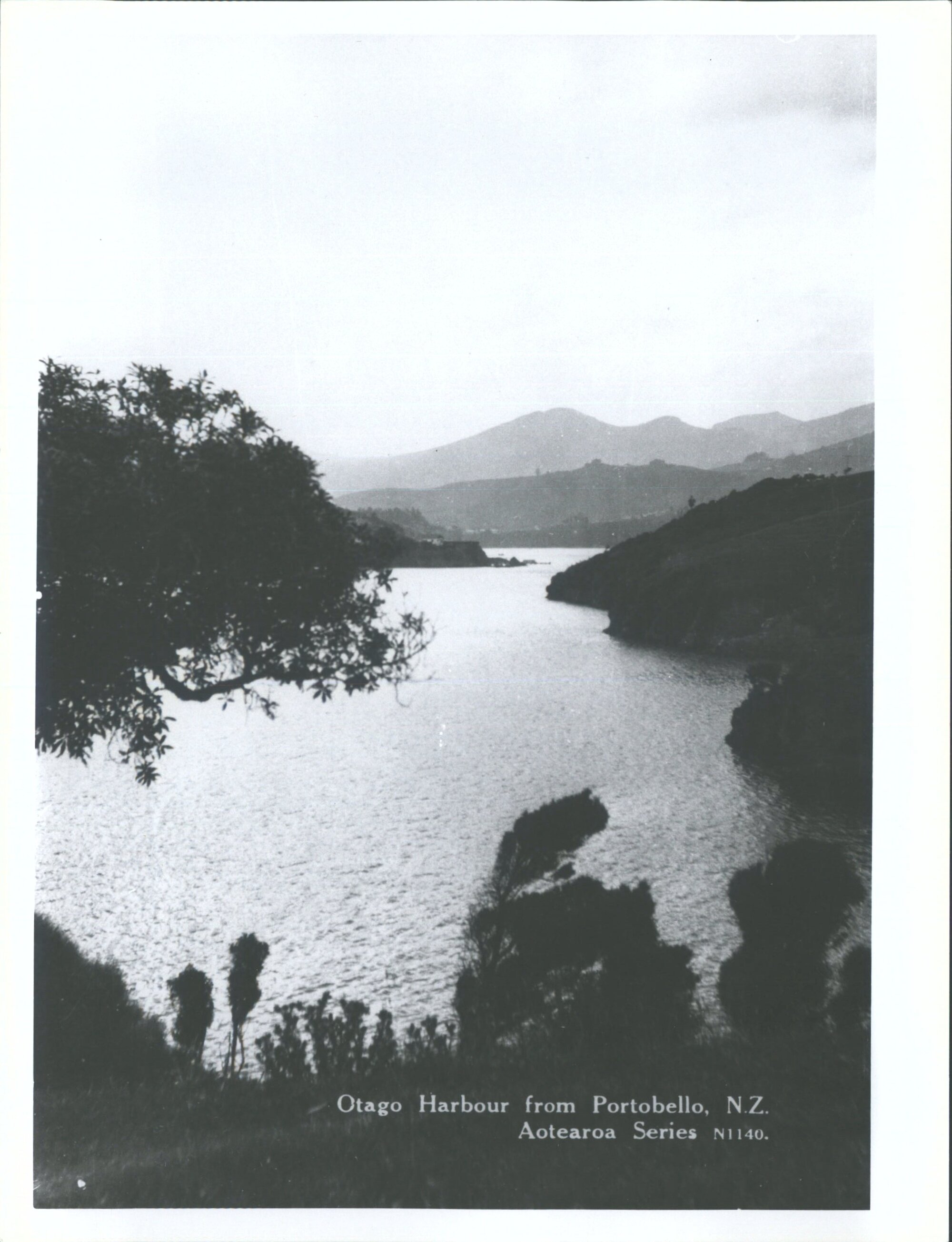 Dunedin Otago Harbour from Portobello