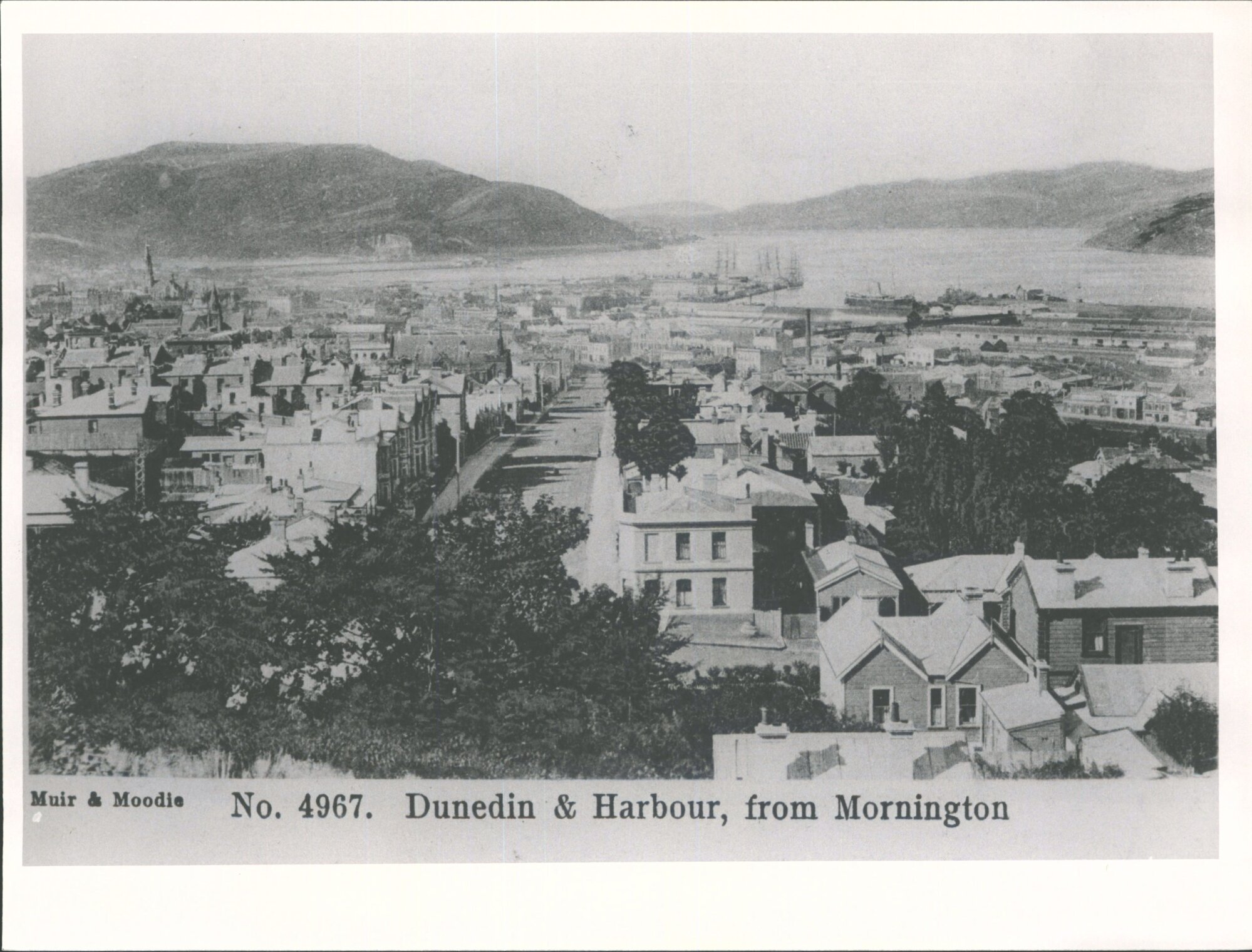 Dunedin Otago Harbour, from Mornington