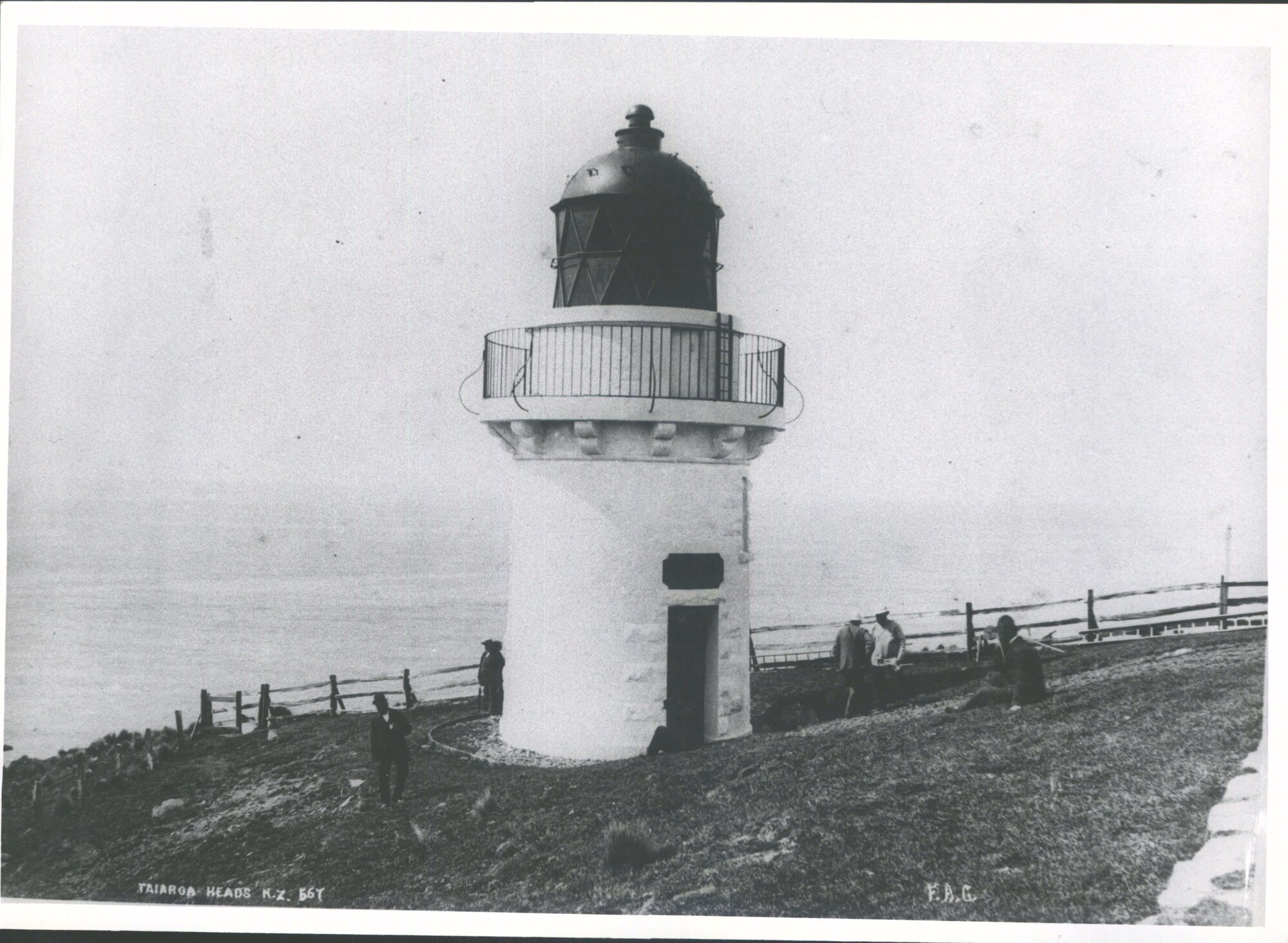 Taiaroa Heads N.Z.