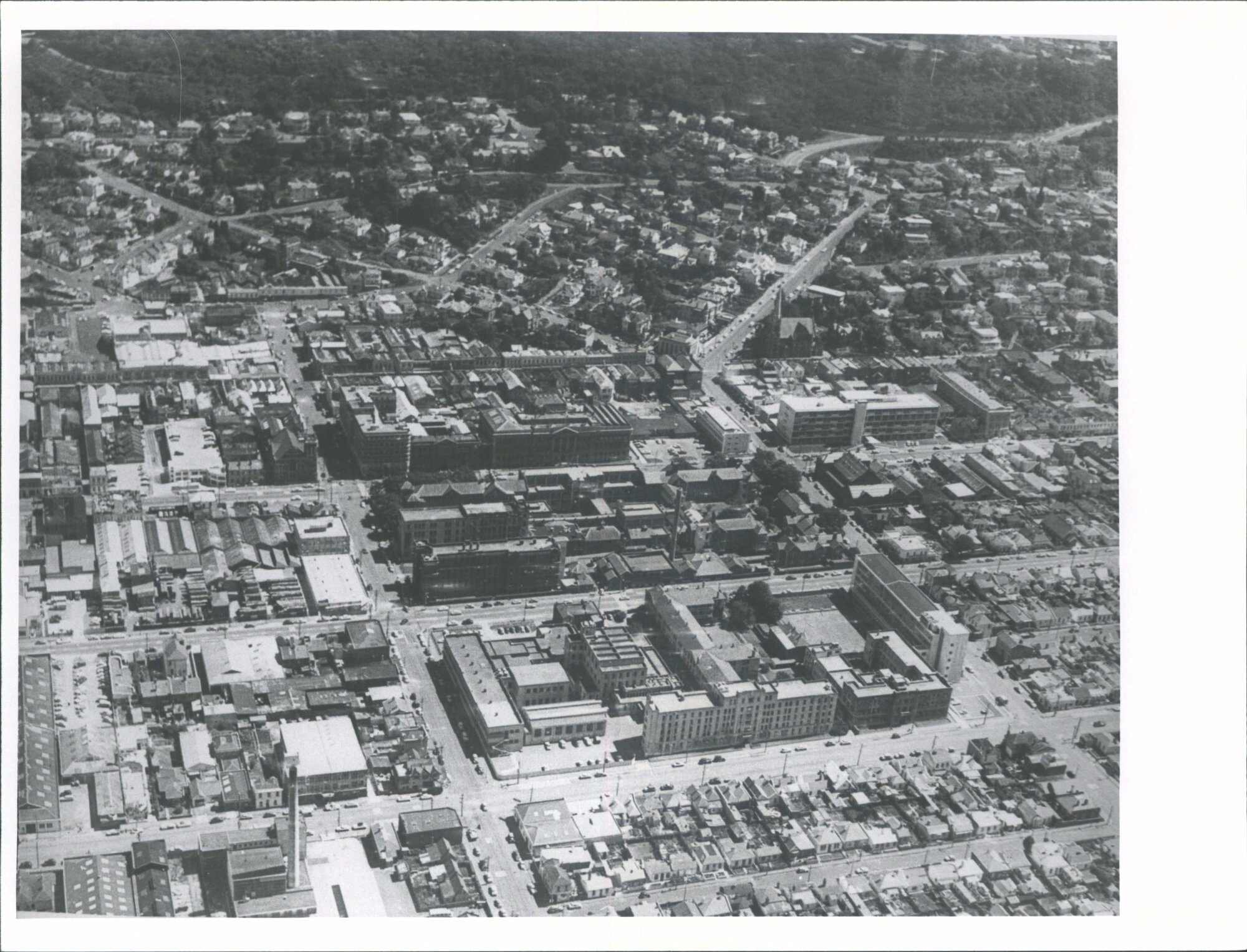 Dunedin aerial view