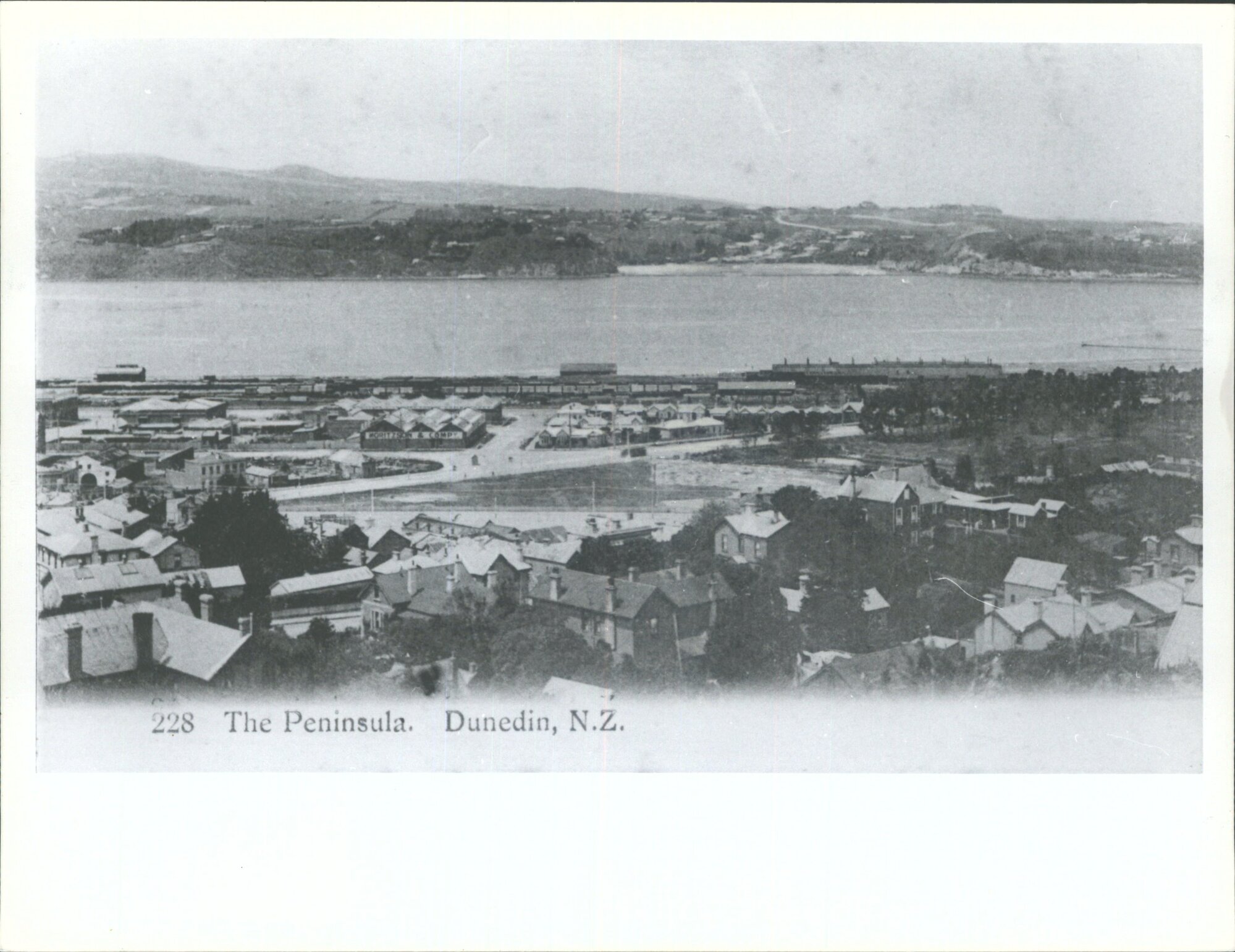 The Peninsula, Dunedin N.Z.