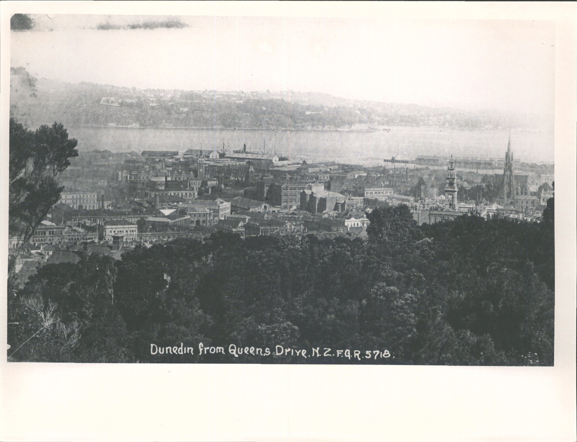 Dunedin, from Queen's Drive, N.Z.