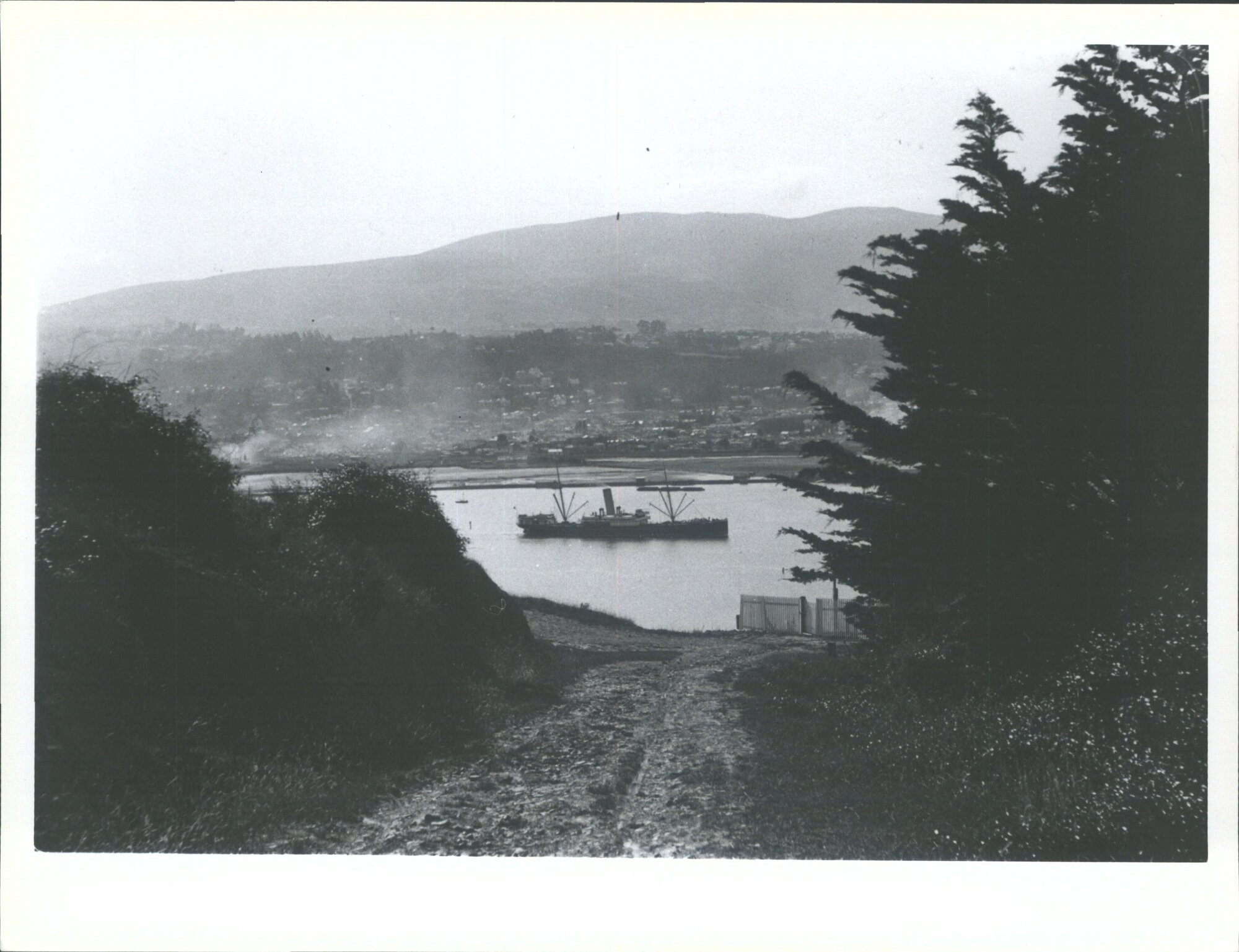 Towards Dunedin, across Otago Harbour
