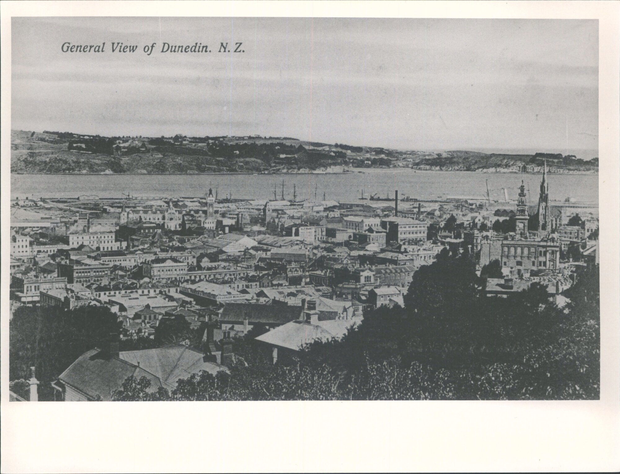 General View of Dunedin, N.Z.