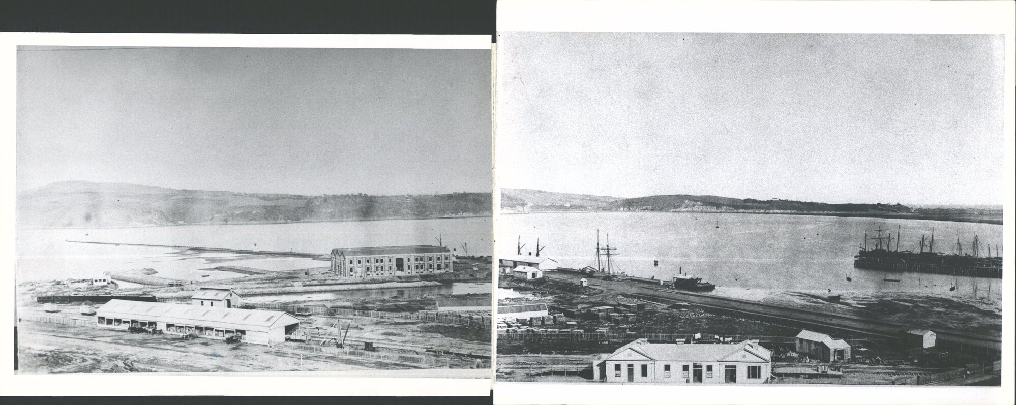 Dunedin in 1873-4 10 part panorama