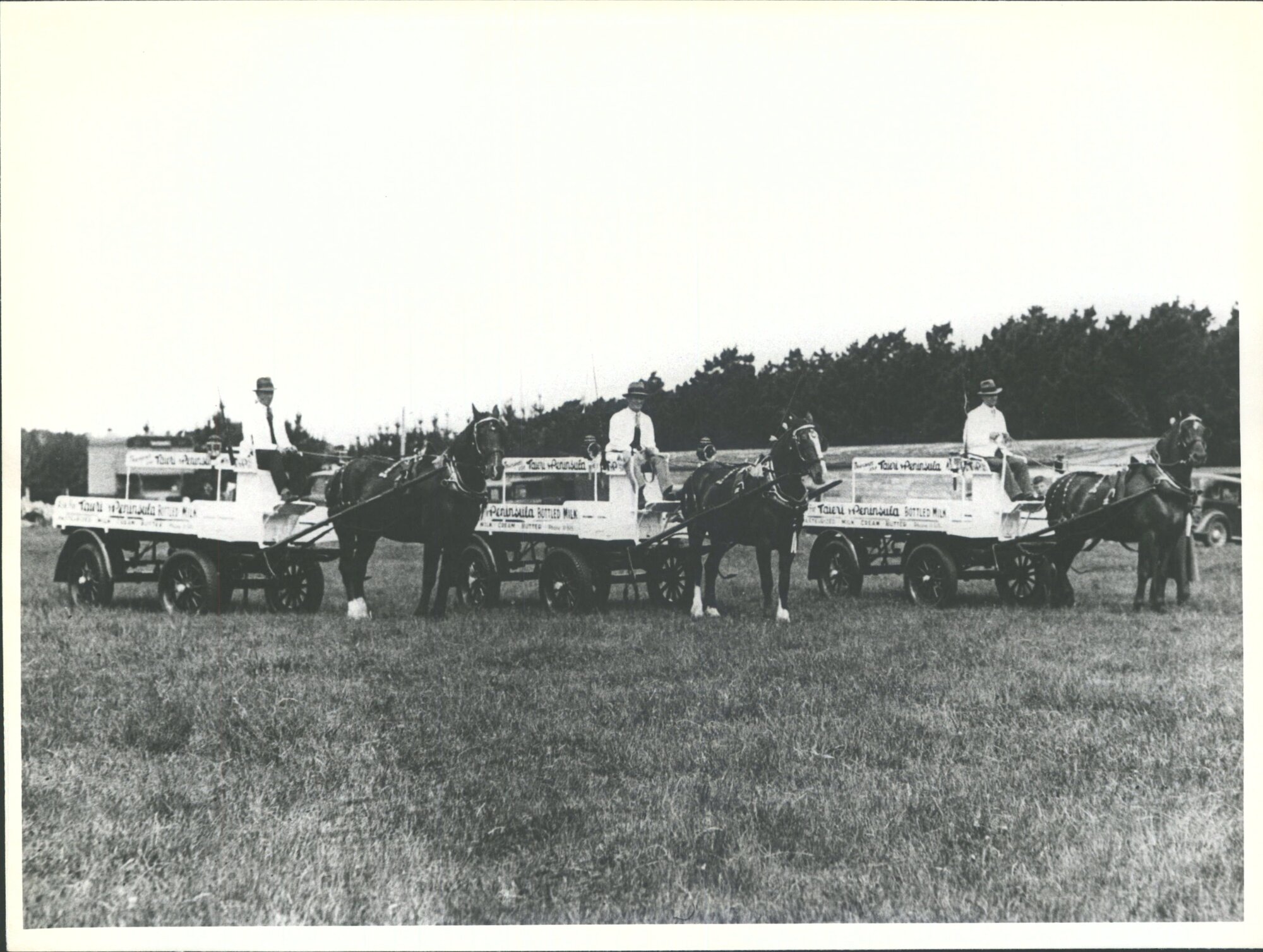 Taieri and Peninsula Pasturised Milk Co