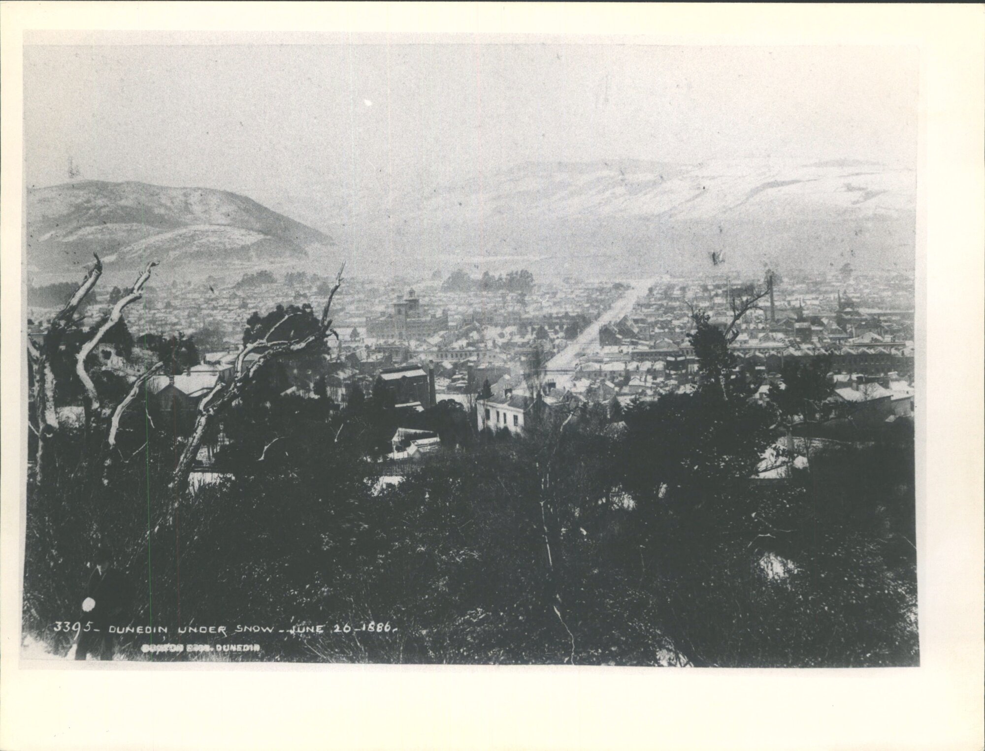 Dunedin under snow