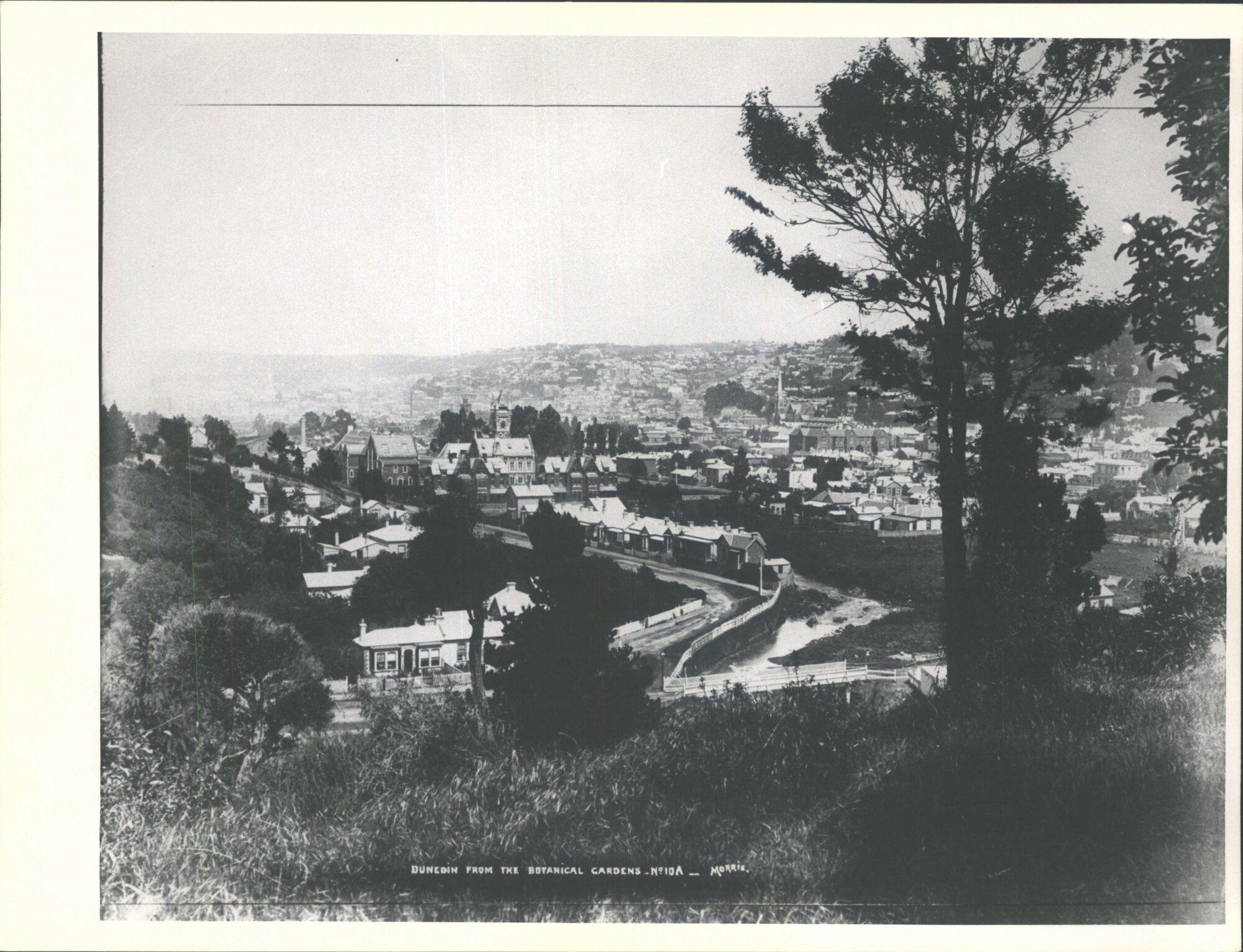 from Botanical Gardens