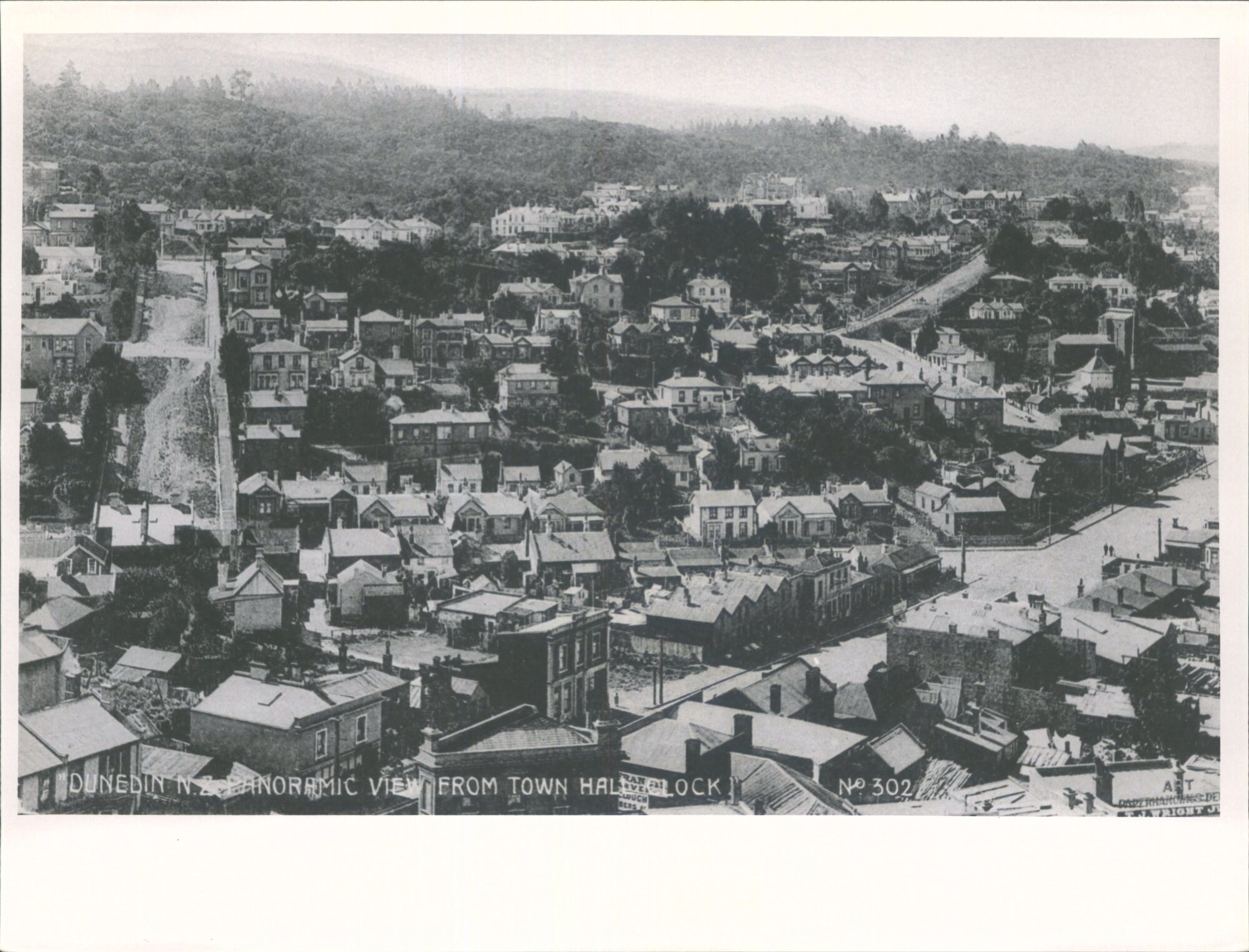 (panoramic view from Town Hall Clock) Filleul St in Foreground