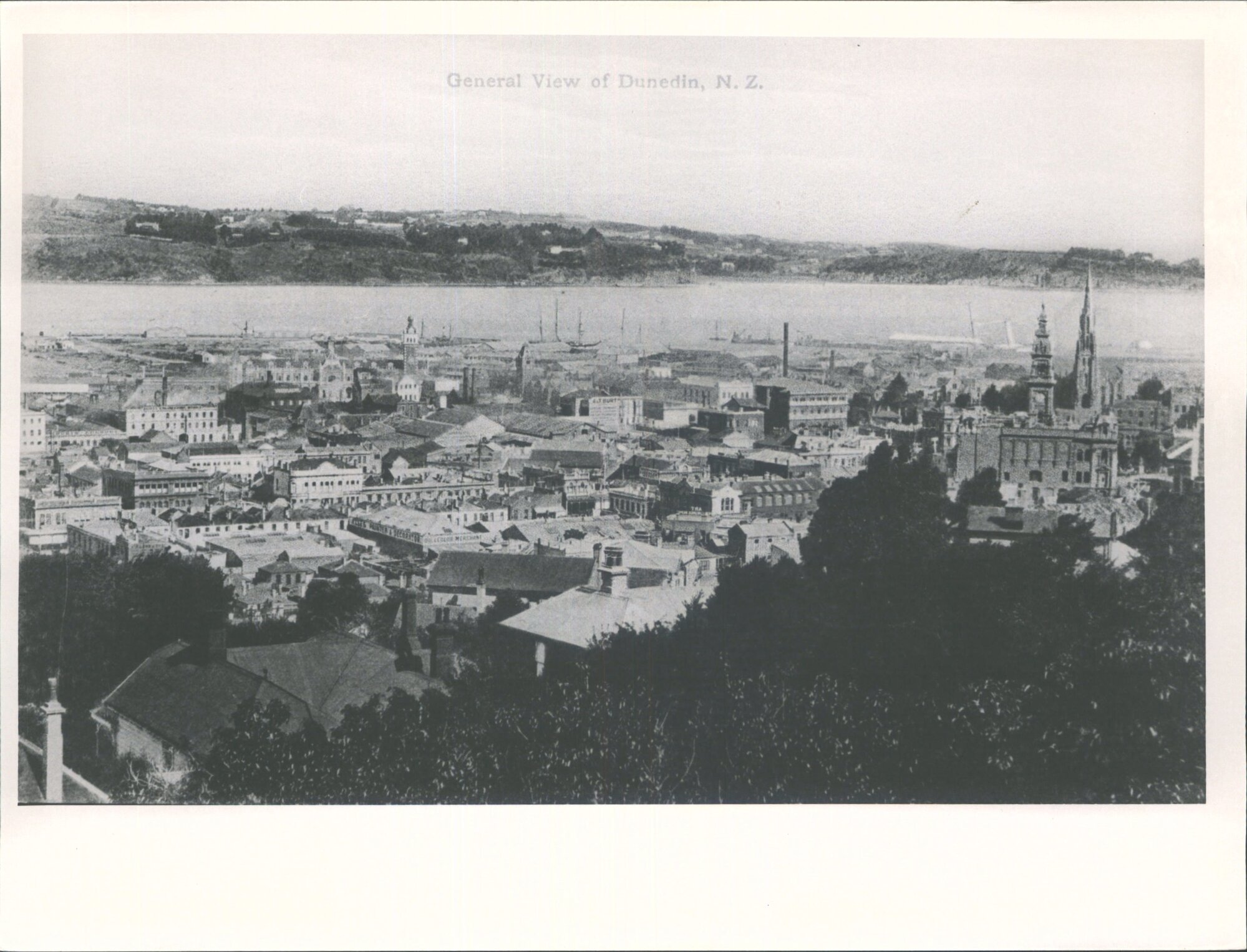 General View of Dunedin, N.Z.