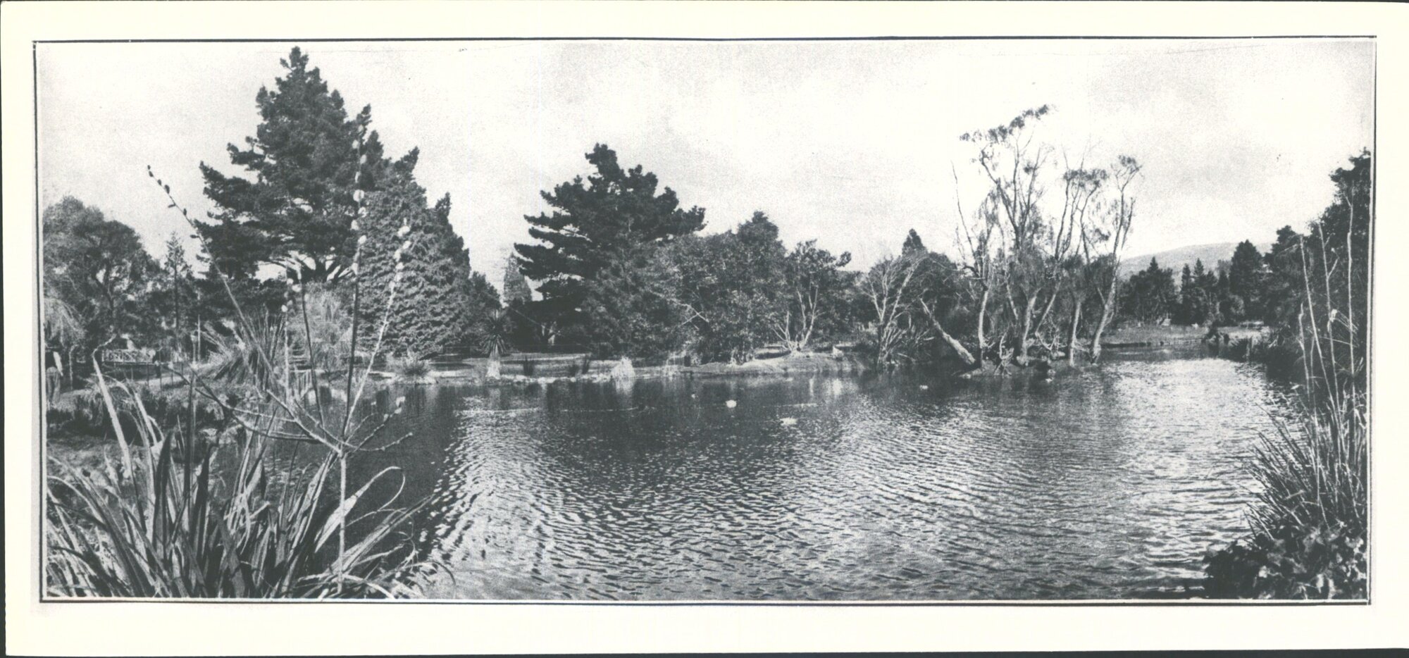 Dunedin's many beauty spots The Botanical Gardens